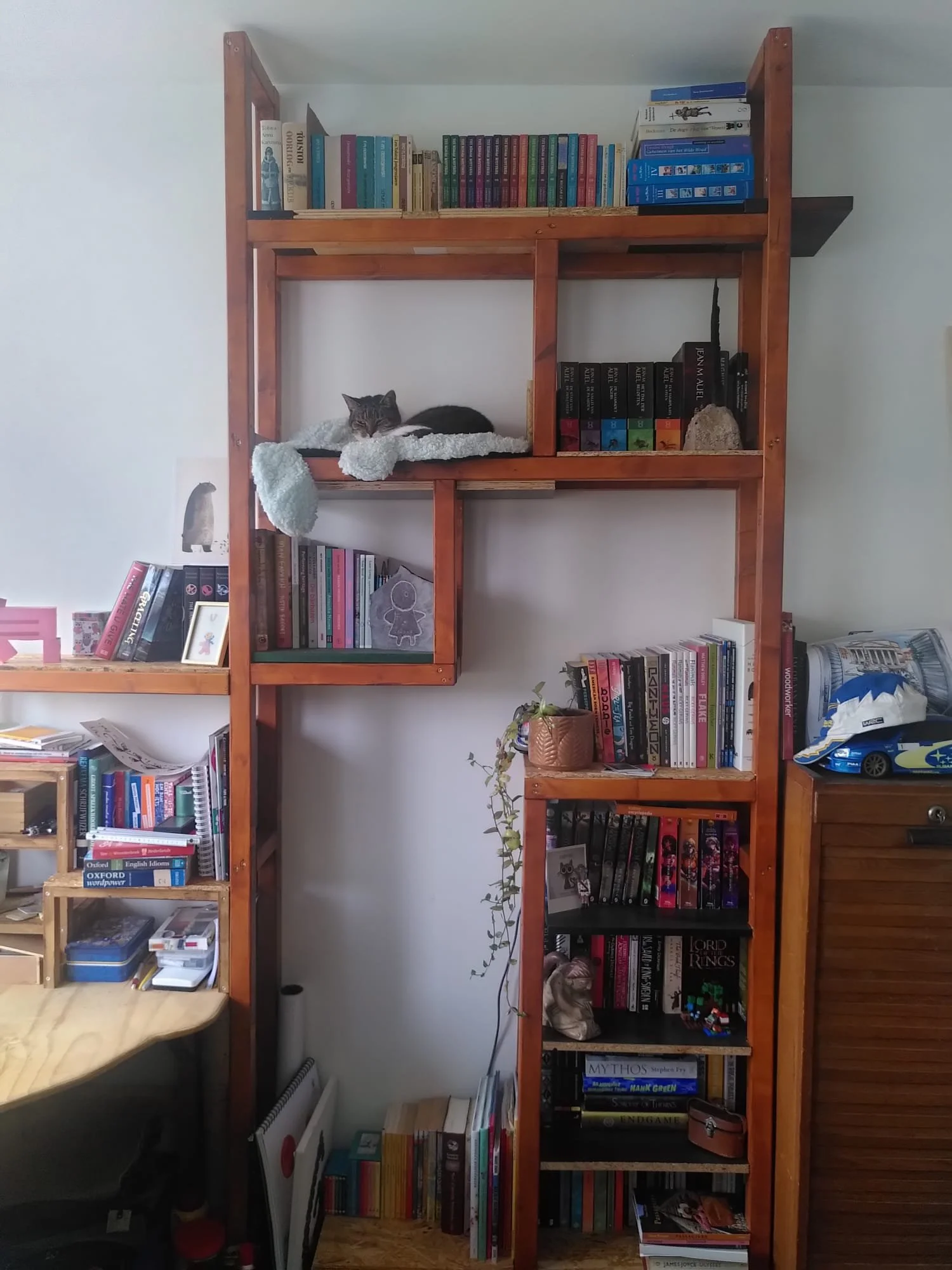 Deel 2 boekenkast.jpg