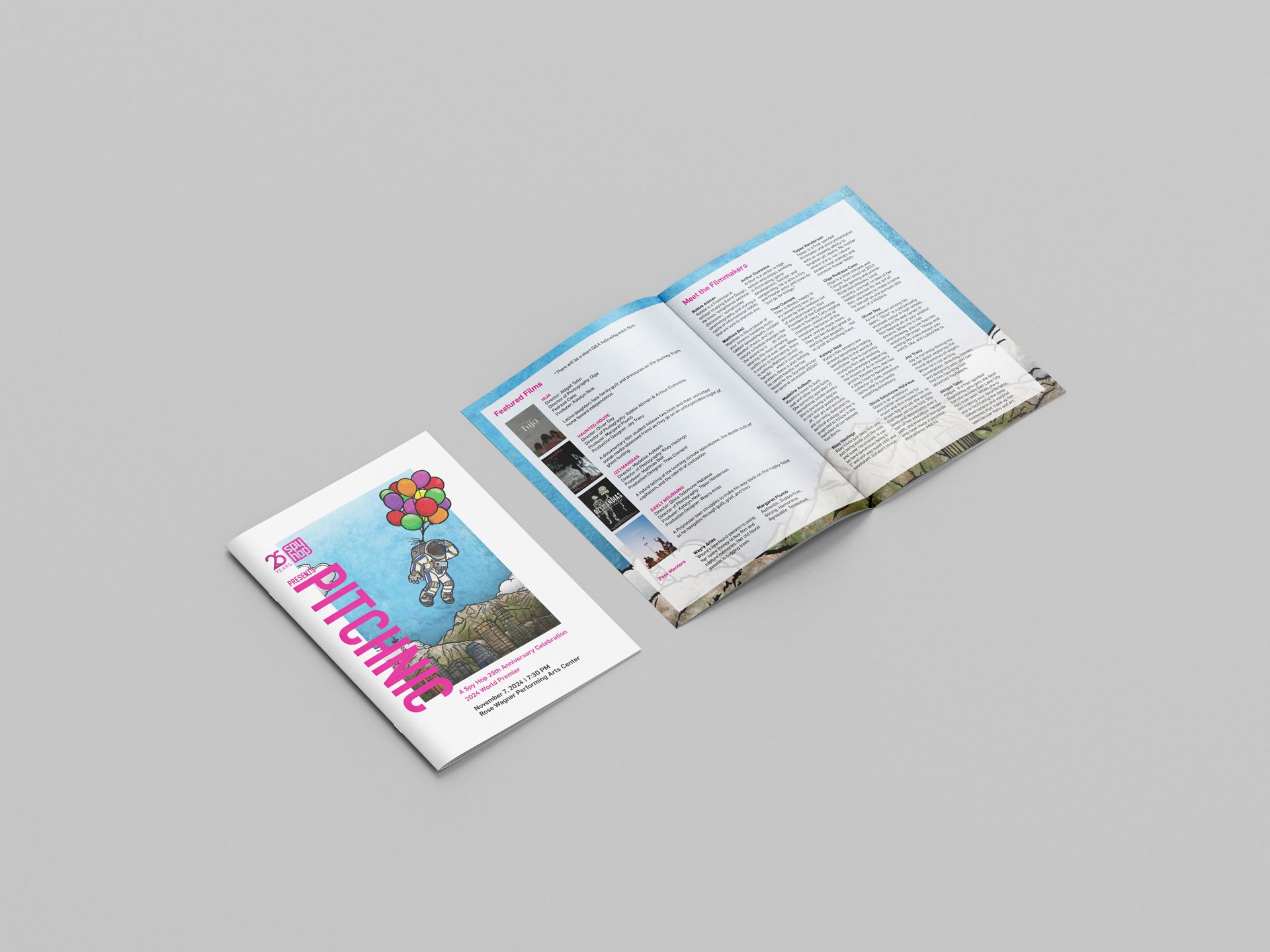 Pitchnic-program-mockup.jpg