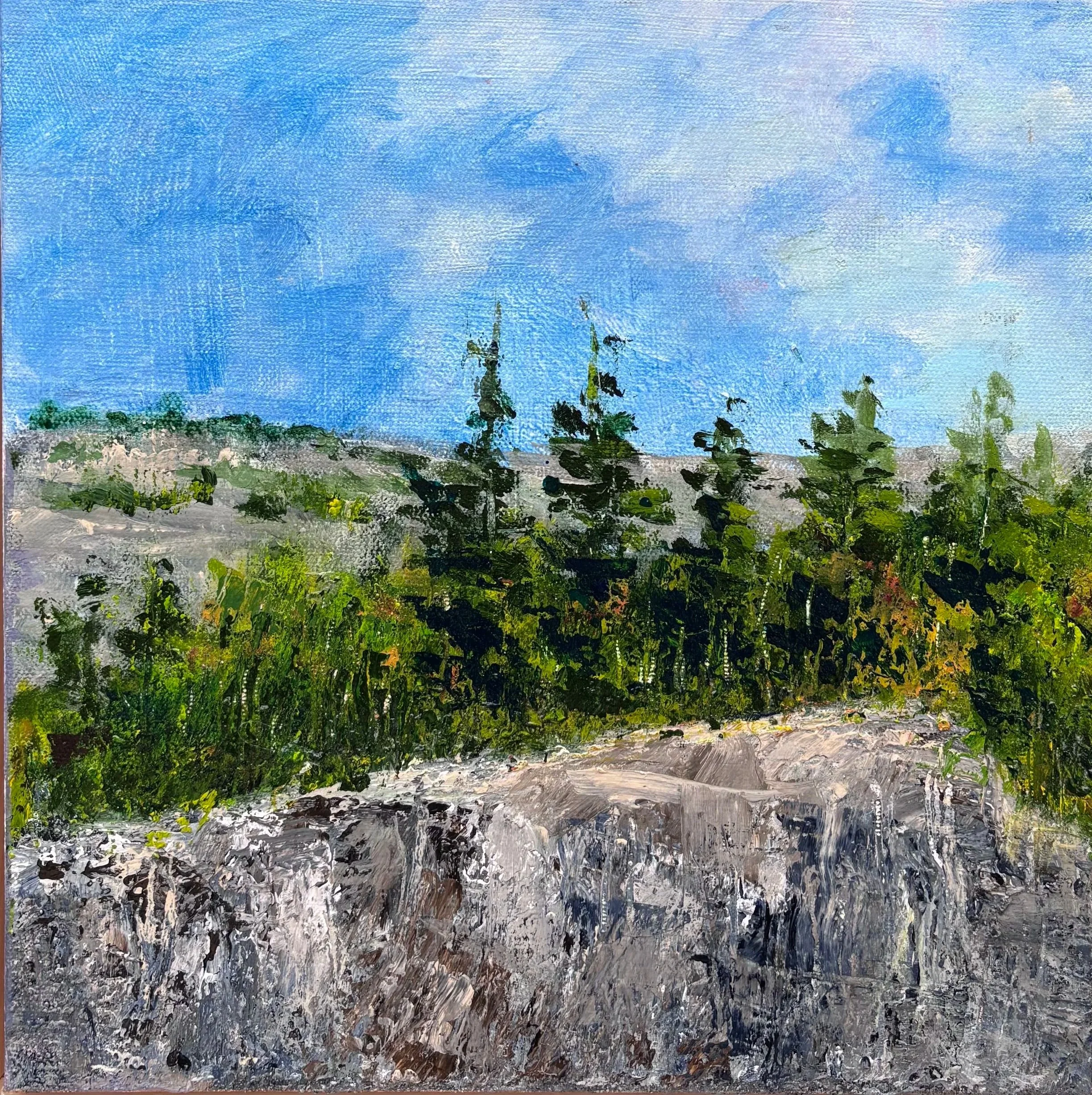Rockies 2, framed, 12 x 12, $400