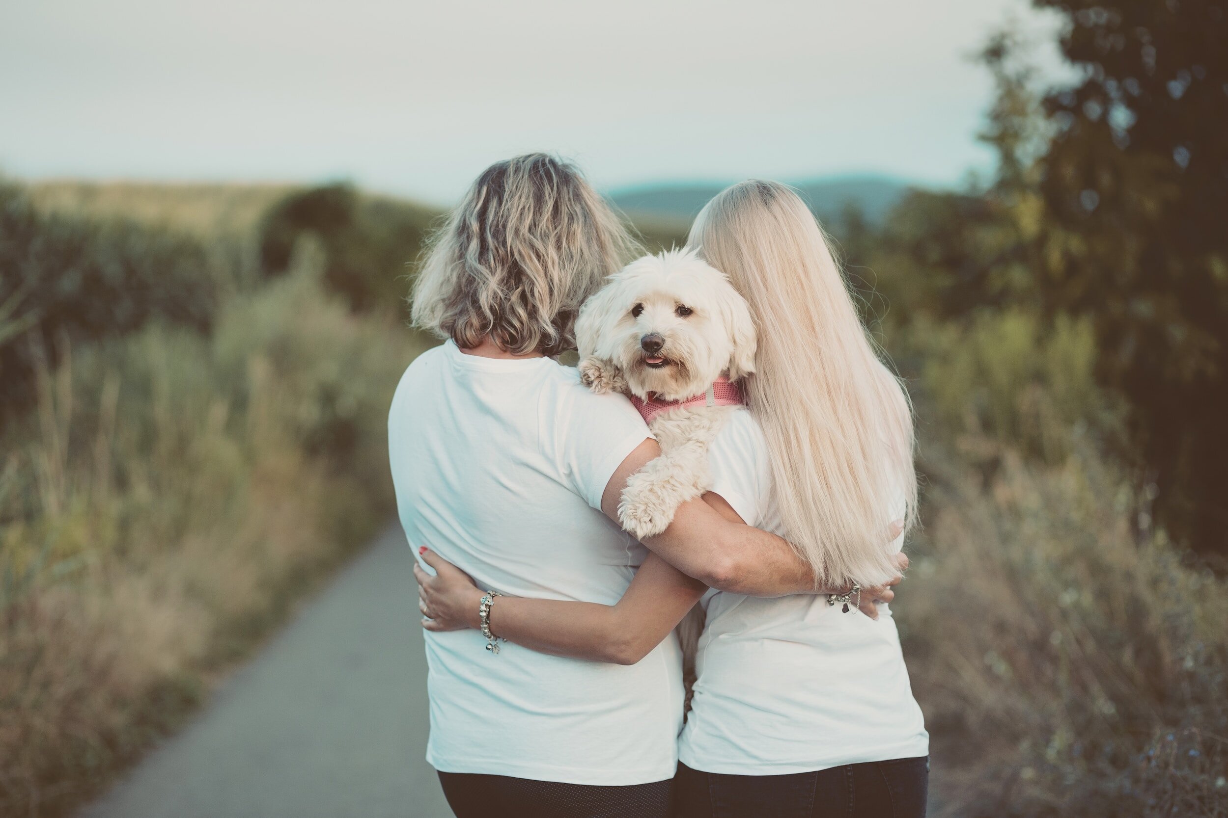 A Touch of Moxy pet love loss community help with vet bills