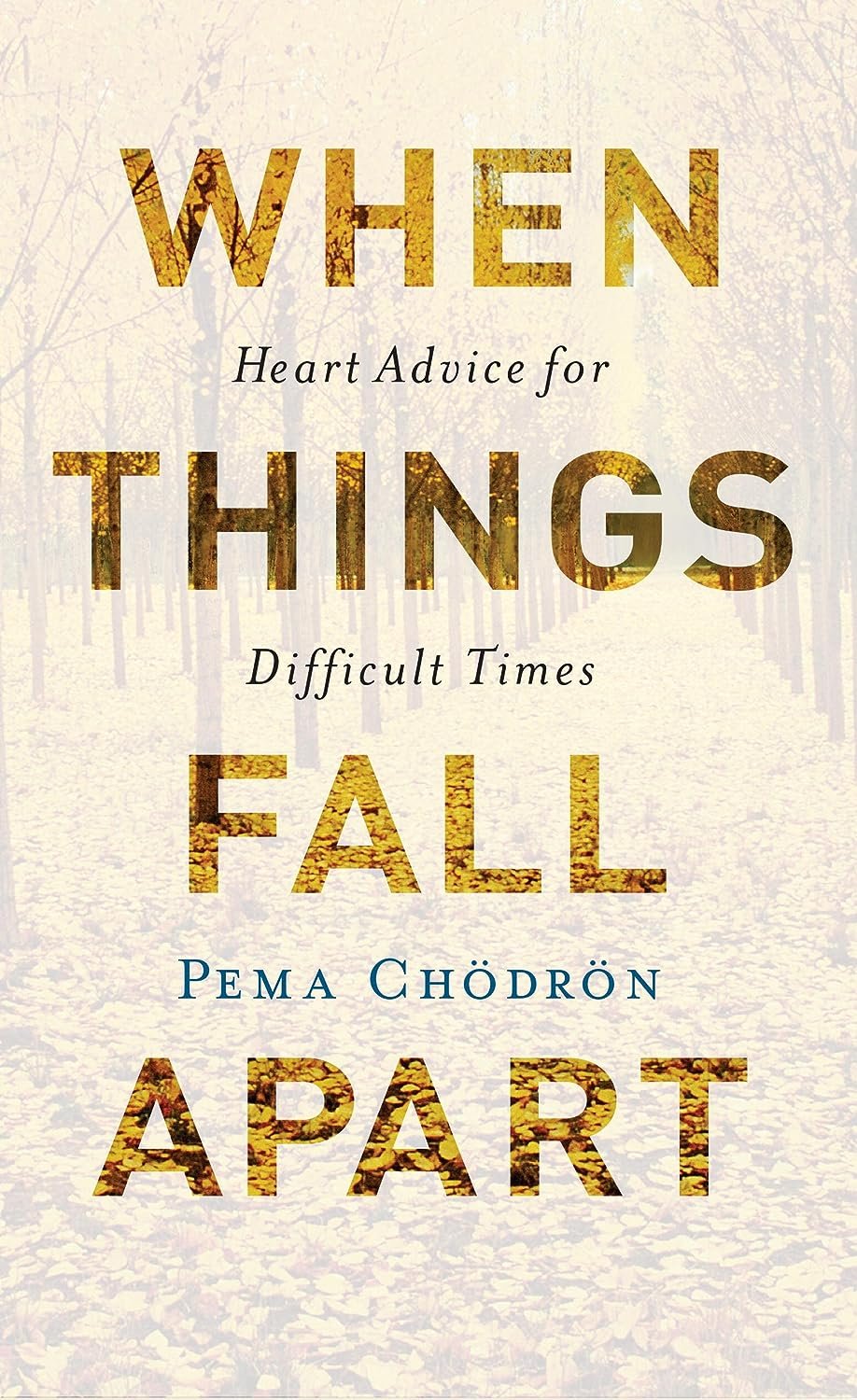 Book recommendation for when you're in the grip of pet loss grief When Things Fall Apart