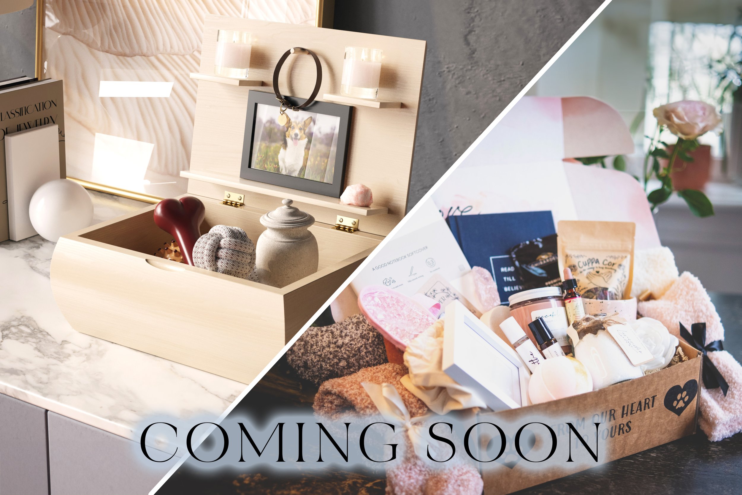 MoxBox_and TeddyGram Bundle_Coming Soon.jpg