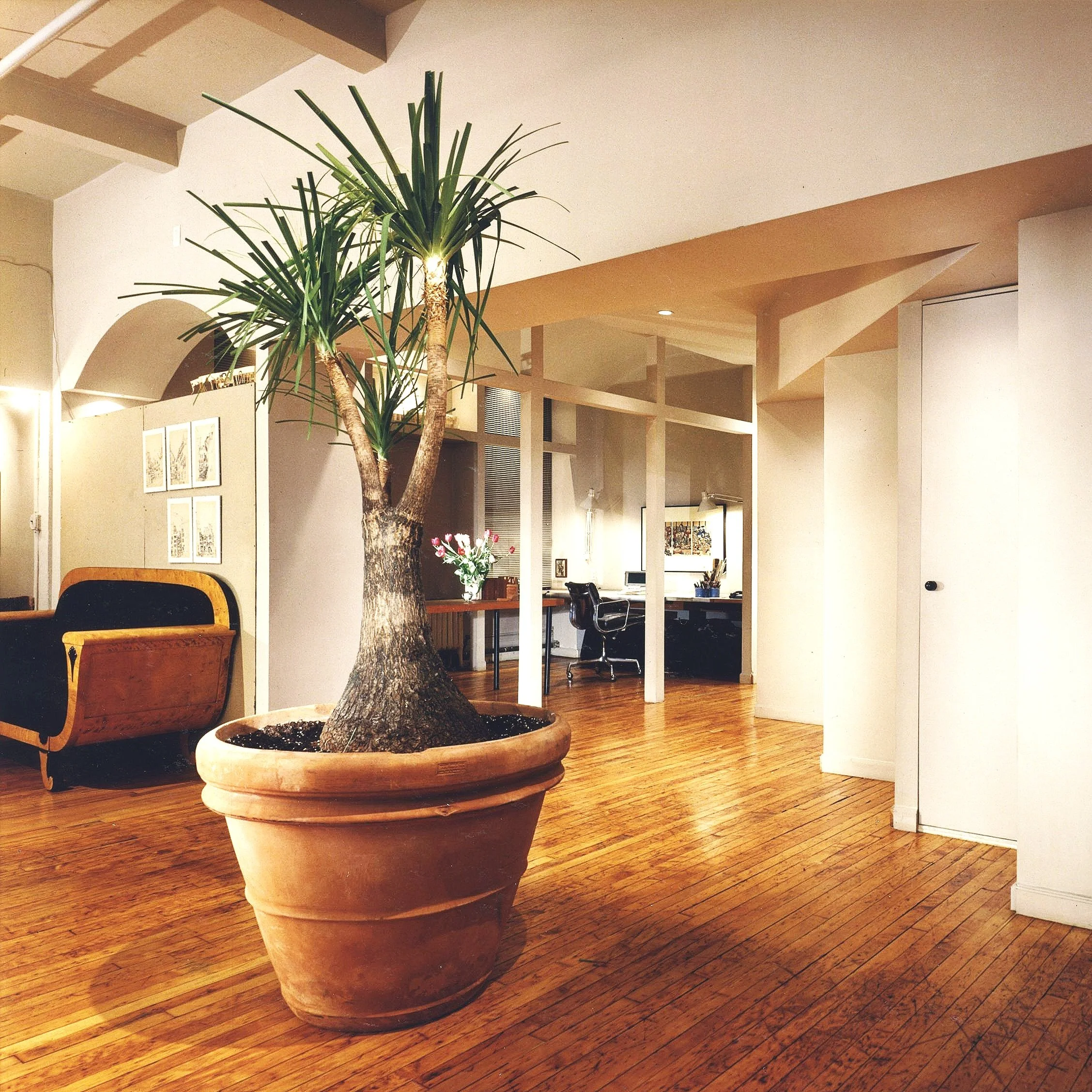 First Loft in Flat Island District