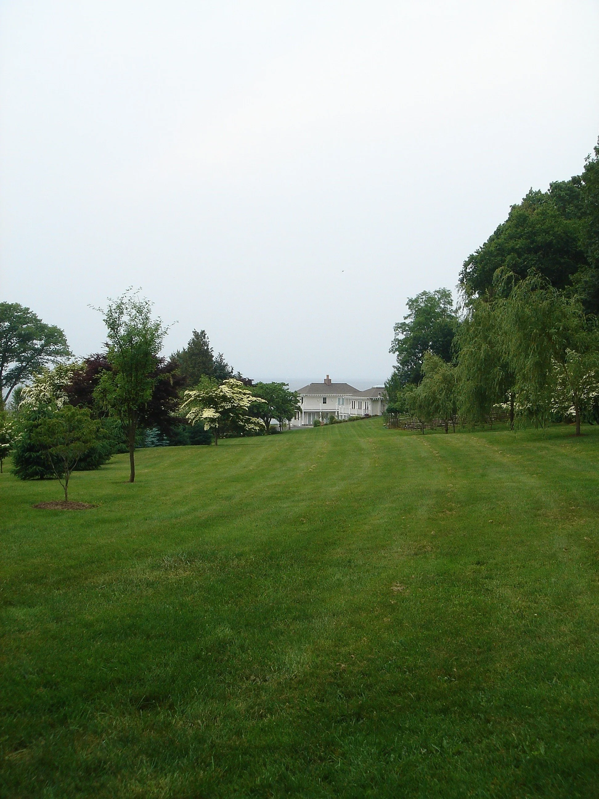 SiteView 040.jpg