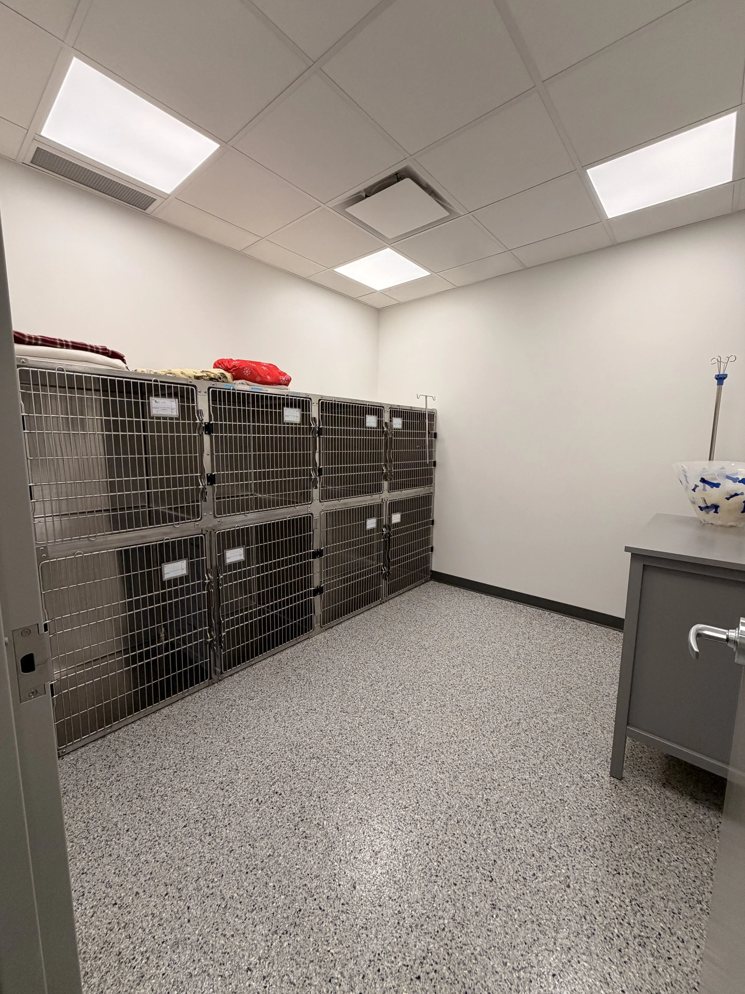 Dog Ward