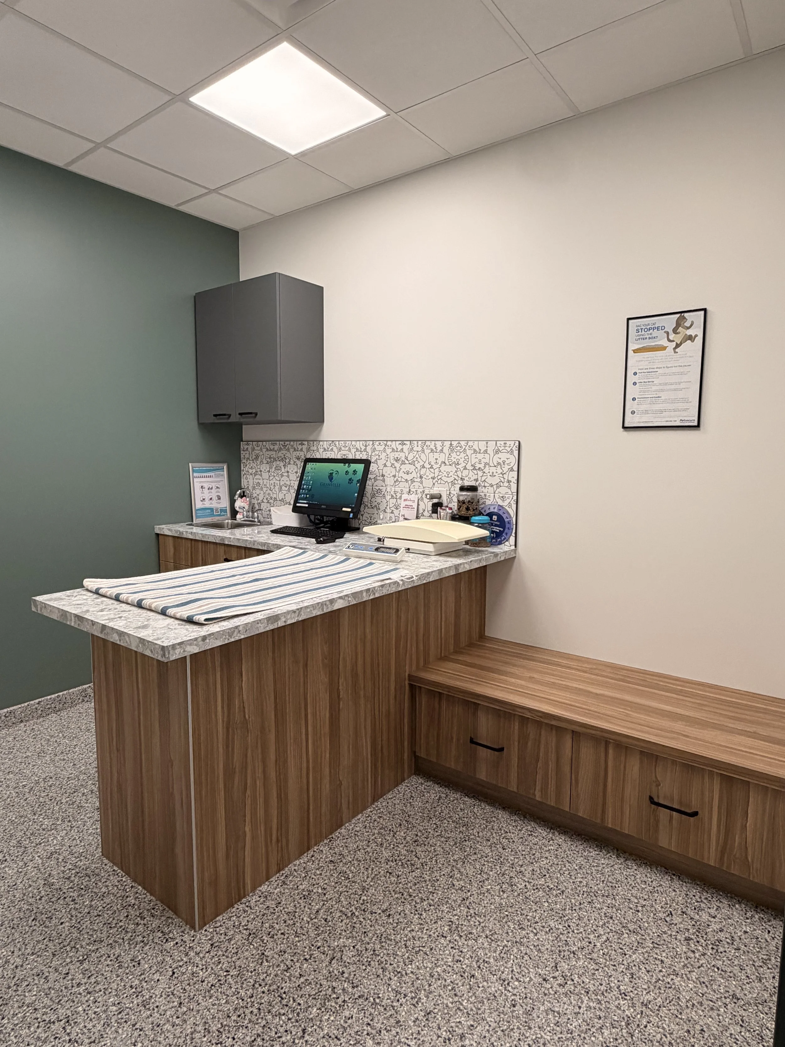 Cat Exam Room 2