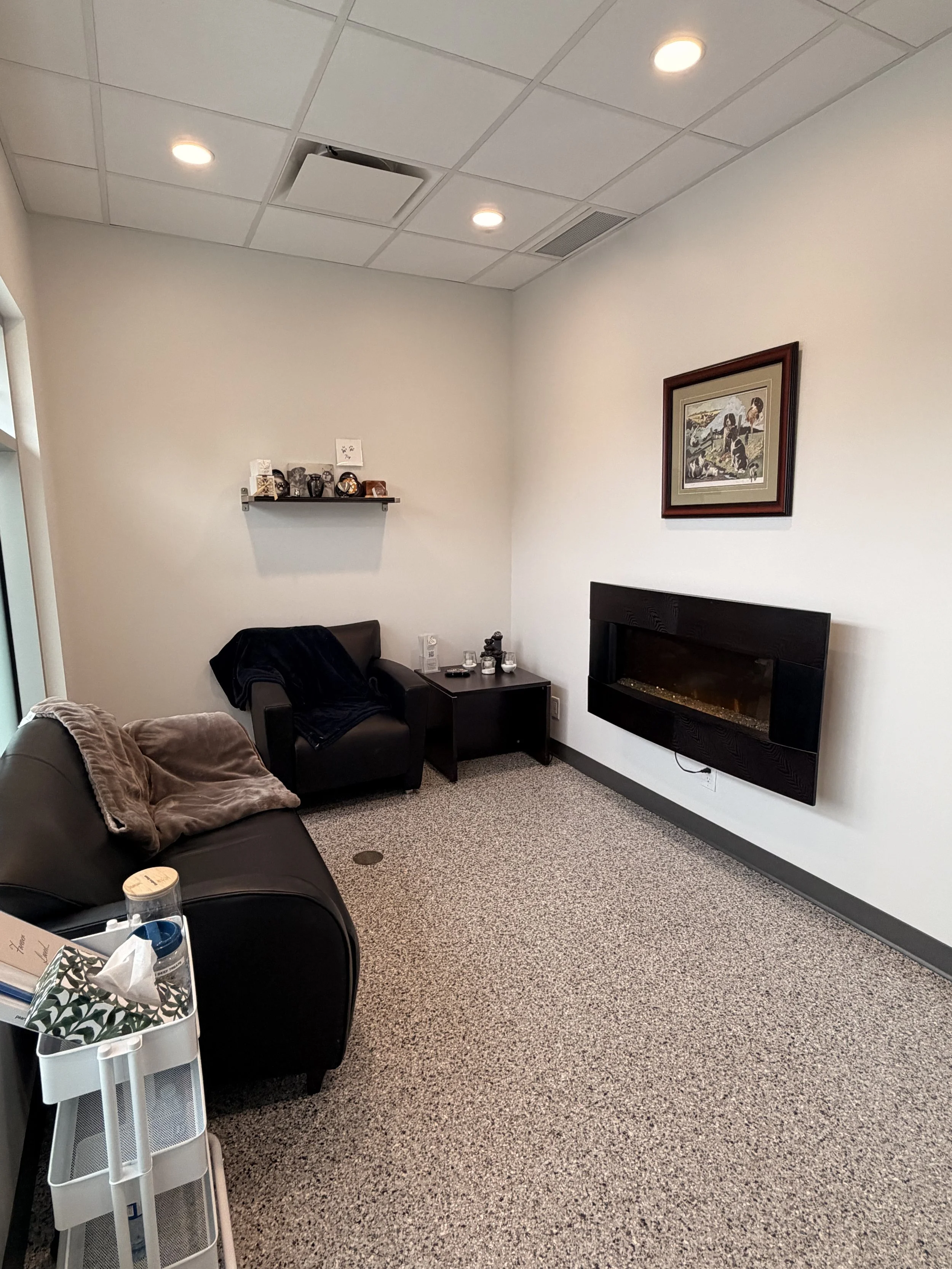 The Comfort Room
