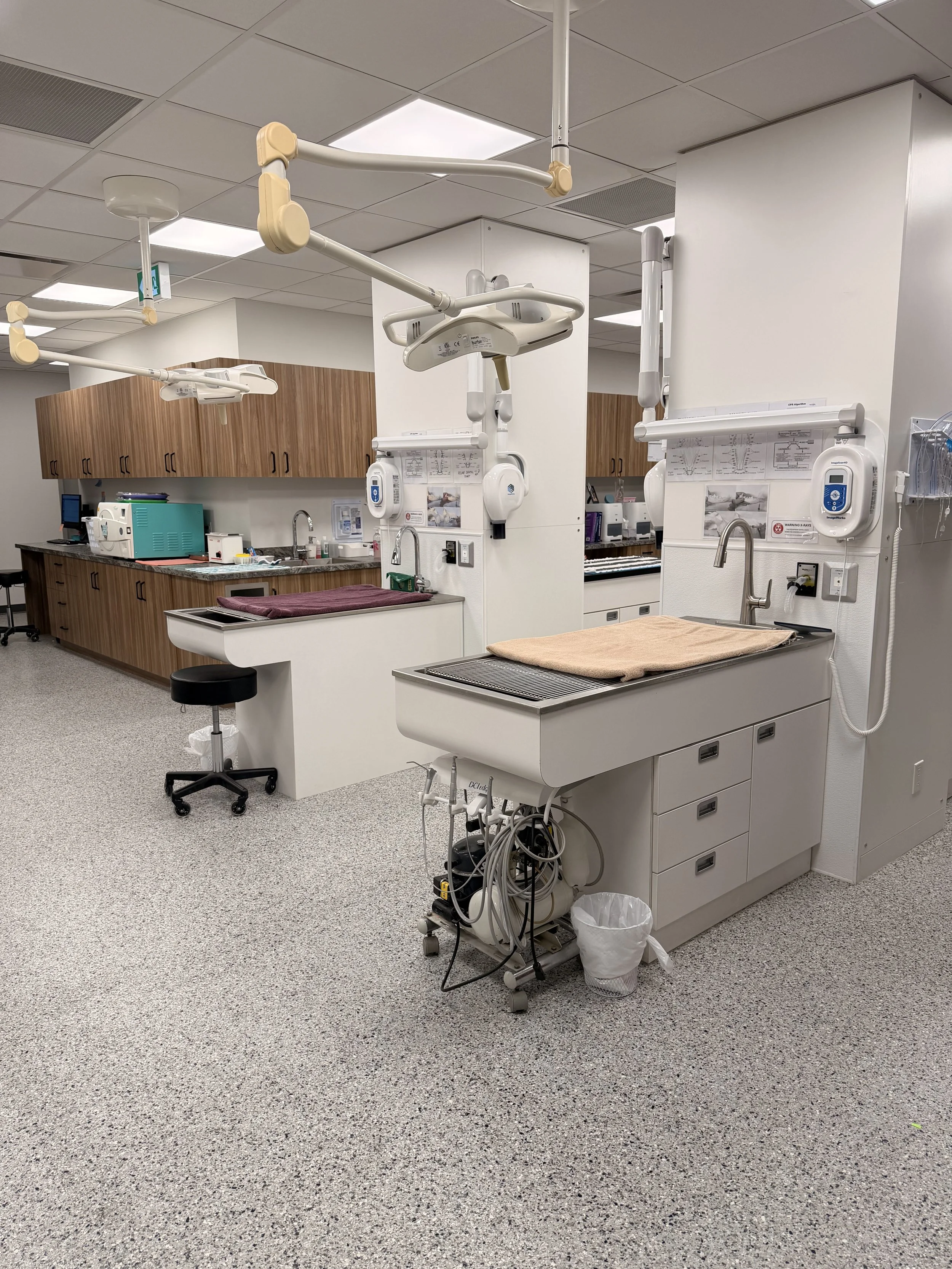 Dental Surgical Tables/Wet Tables