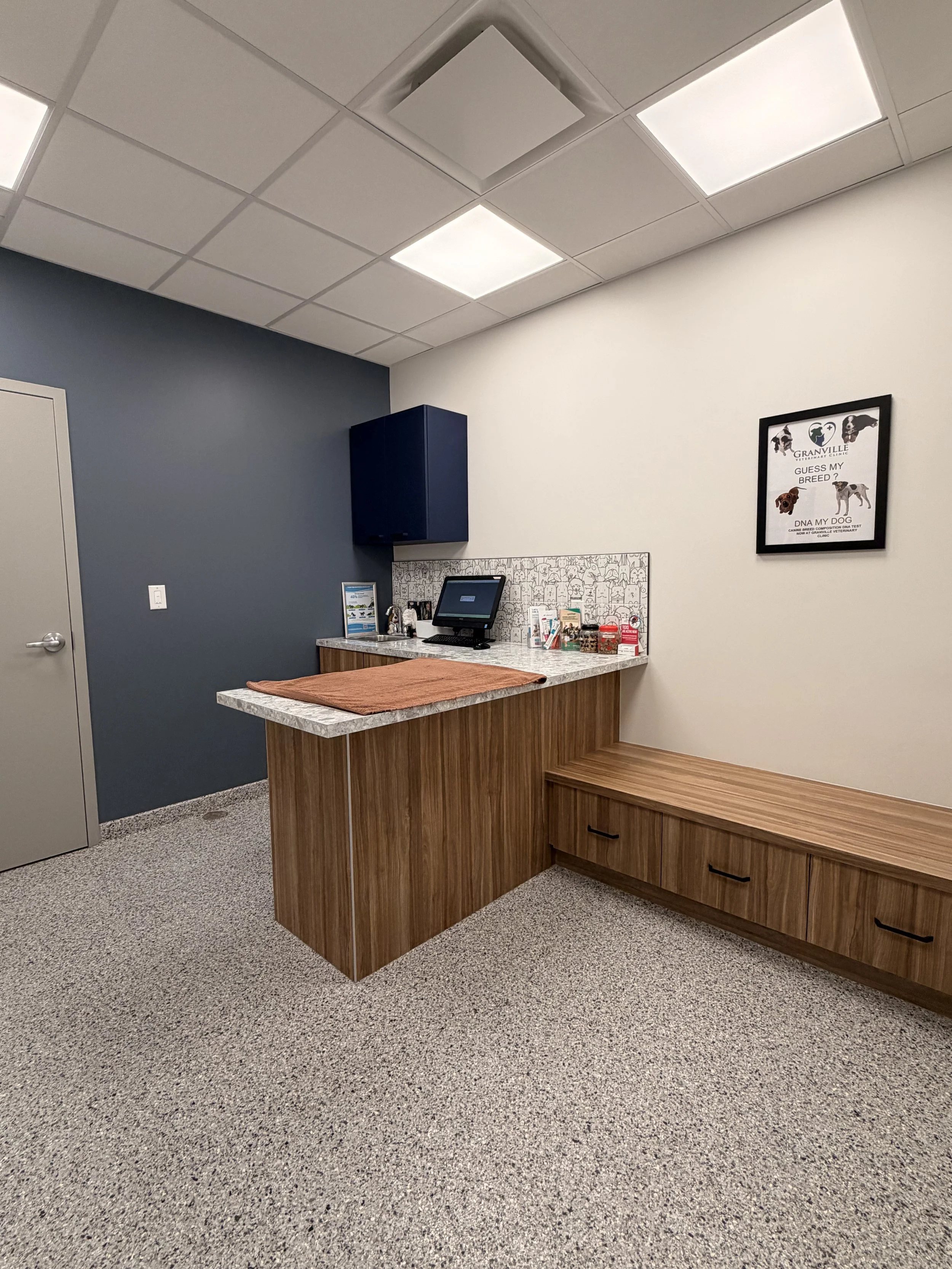 Dog Exam Room 1