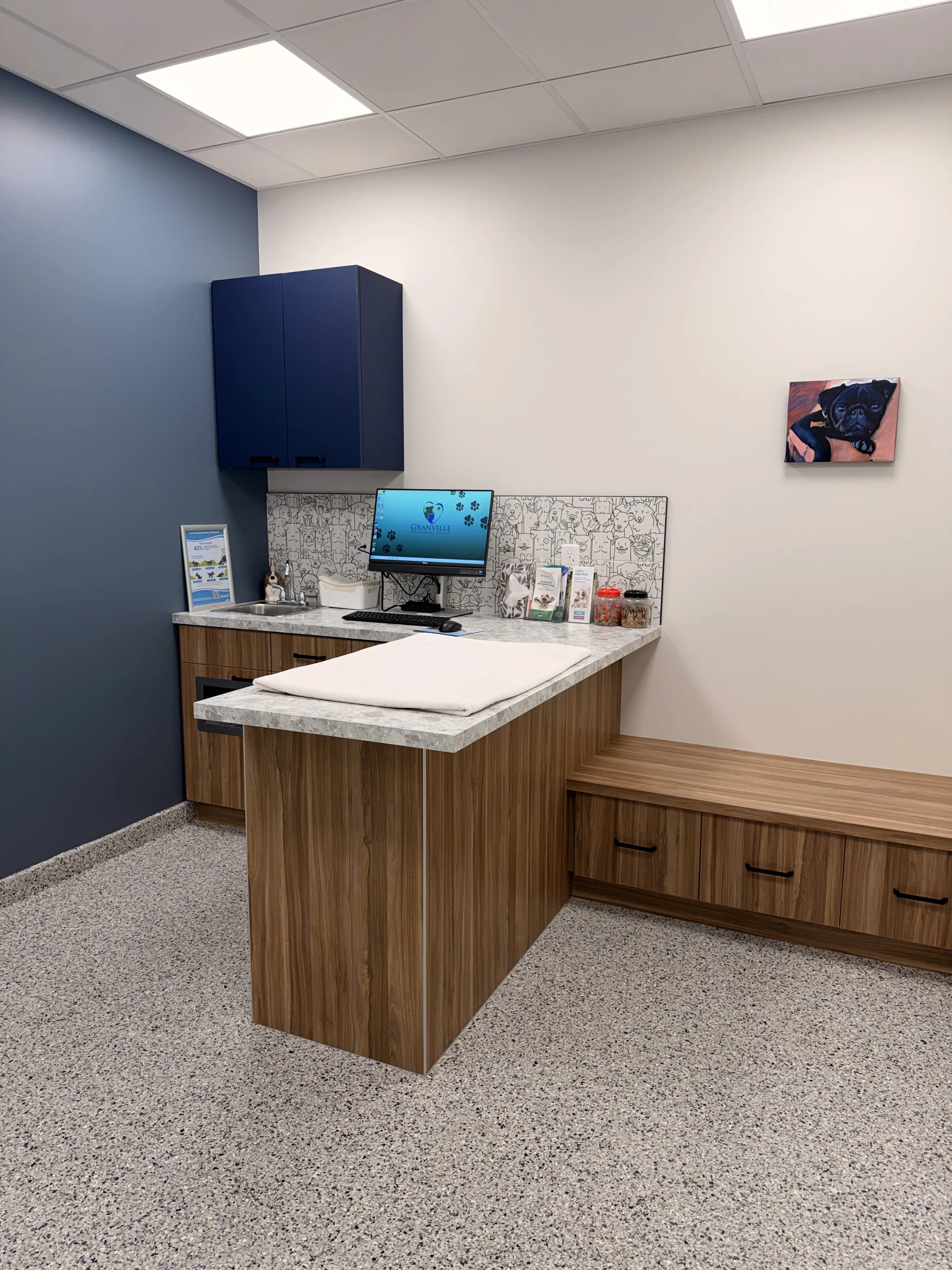 Dog Exam Room 3