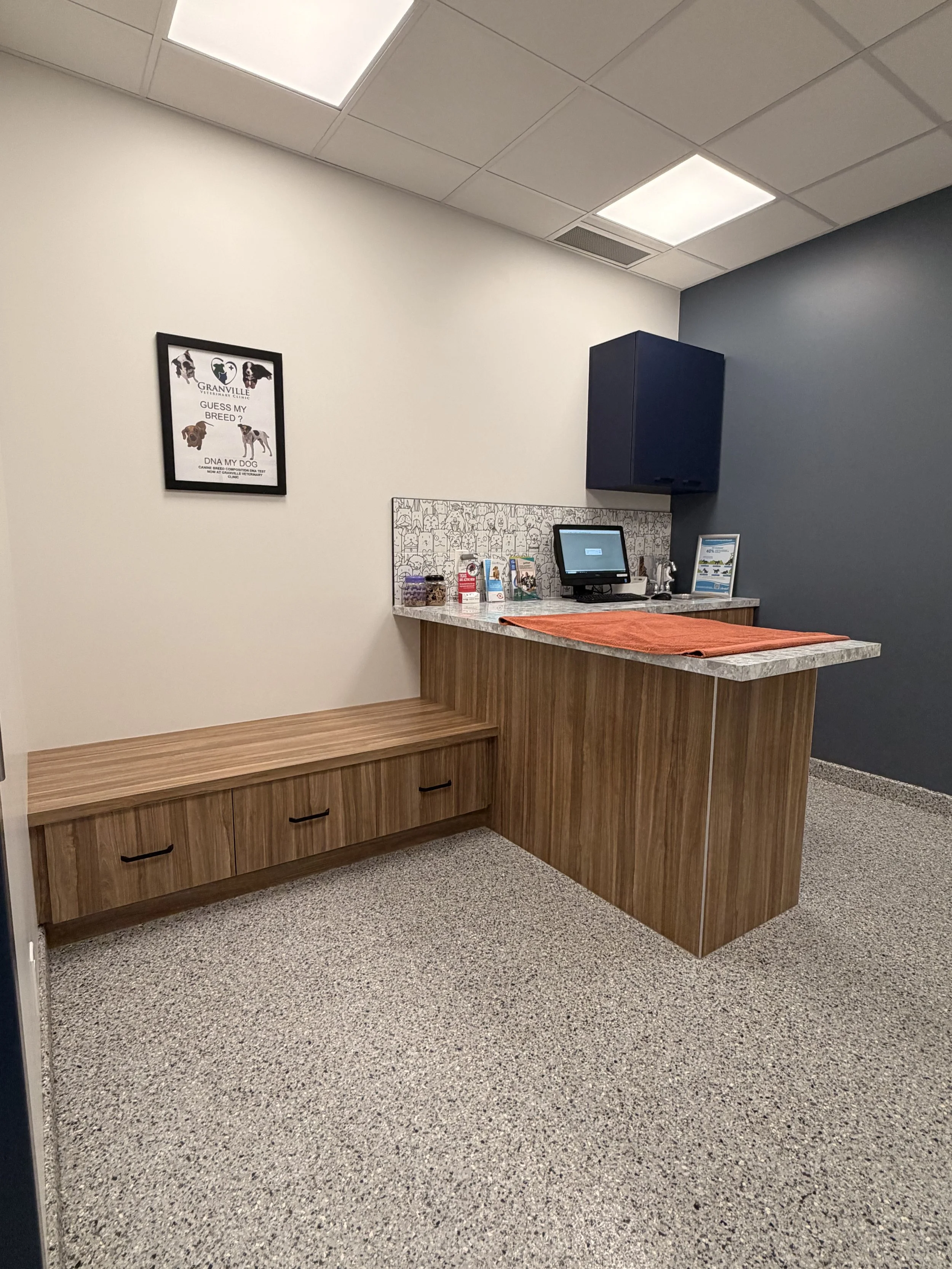 Dog Exam Room 2