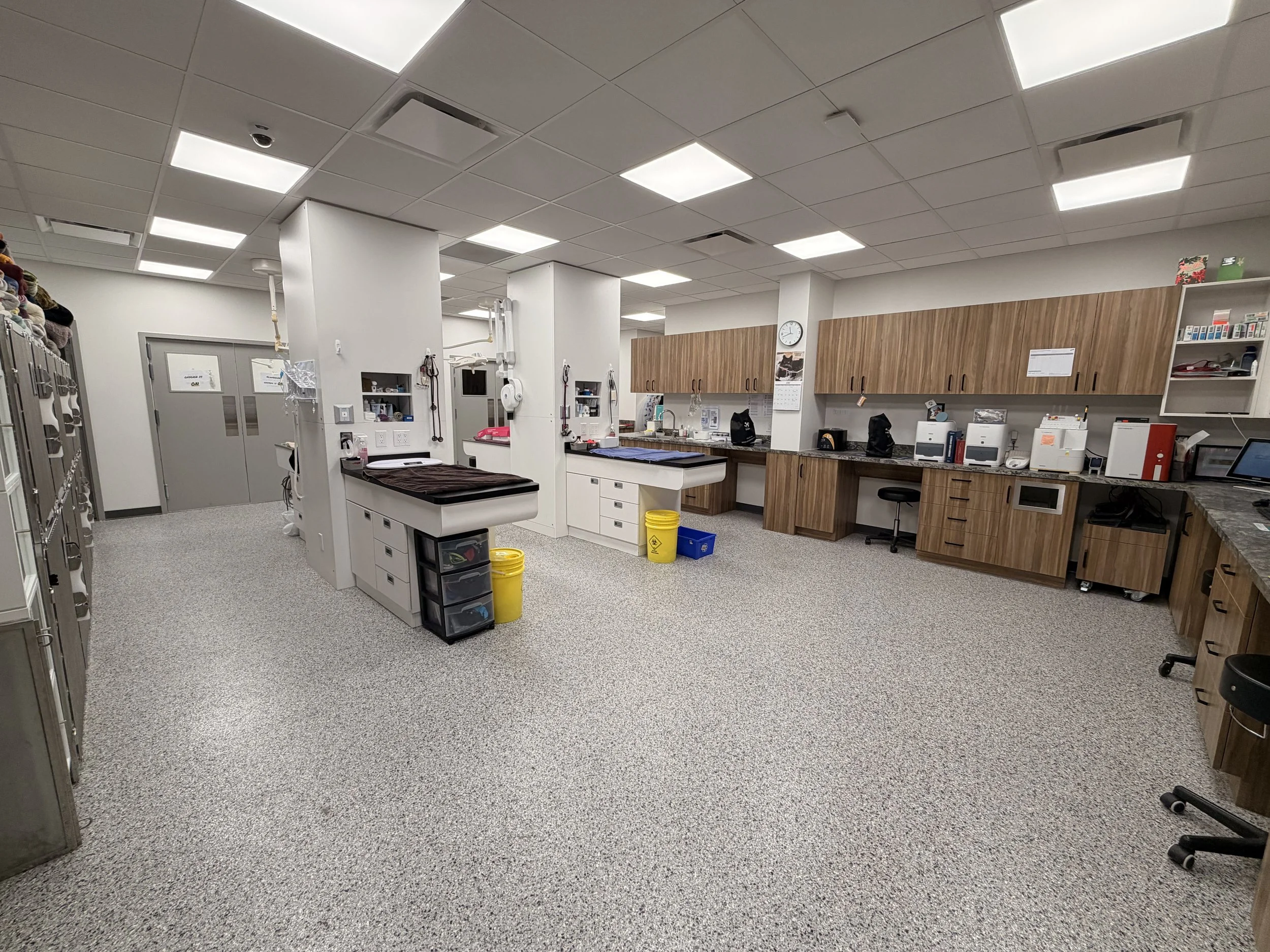Treatment Room