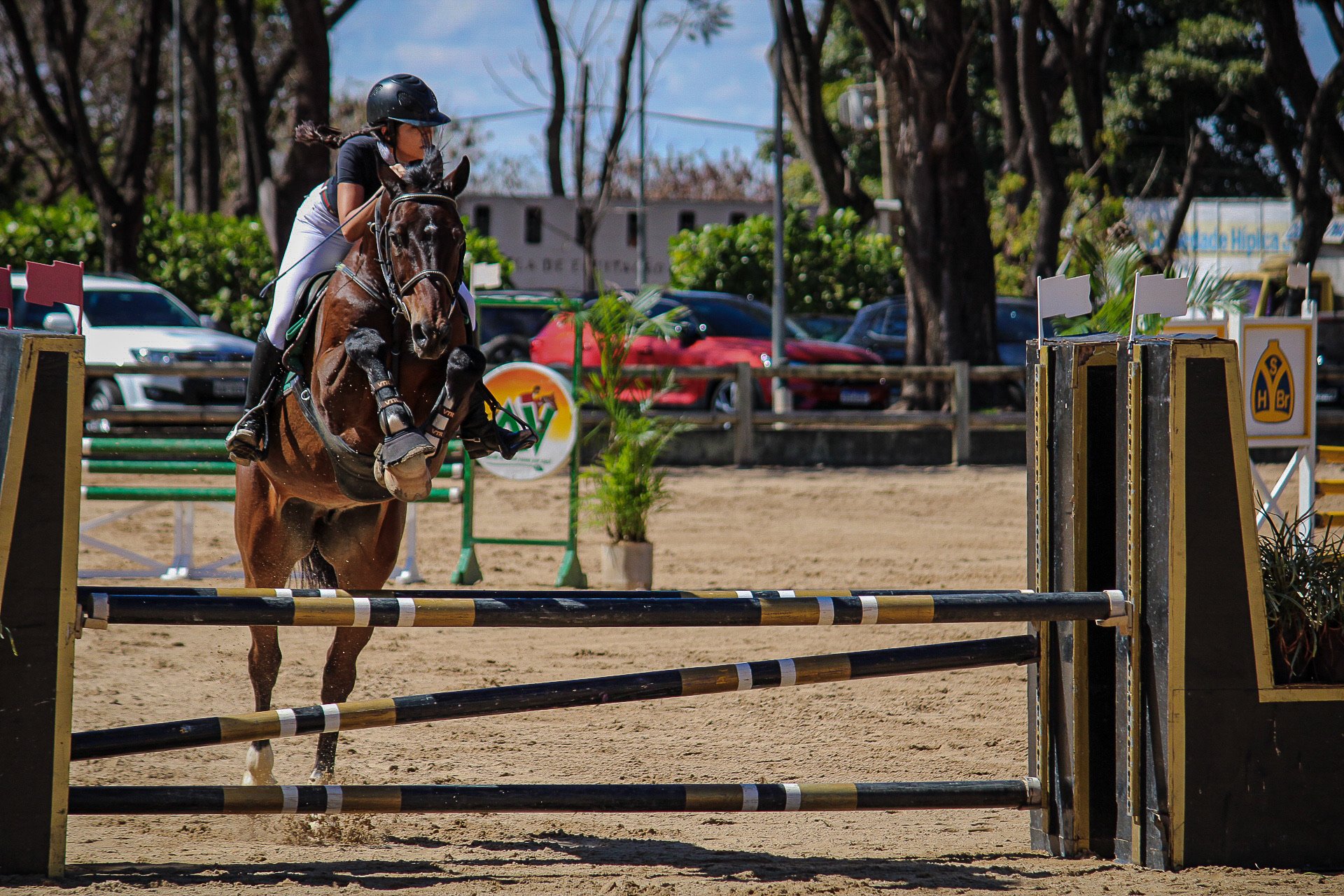 A female equestrian athlete wearing a helmet and riding gear guides a brown horse over a jumping obstacle in a show jumping event, set on a sandy arena with cars and trees in the background.