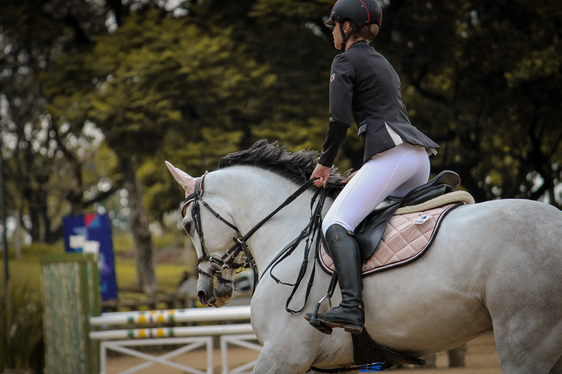 A woman riding a white horse in an outdoor equestrian setting, wearing a black riding helmet, black jacket, and white riding pants.