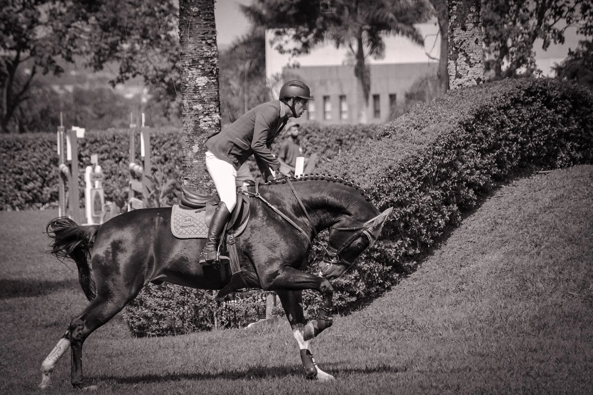 A person wearing a riding helmet and equestrian attire is jumping a fence on a dark-colored horse in an outdoor setting.