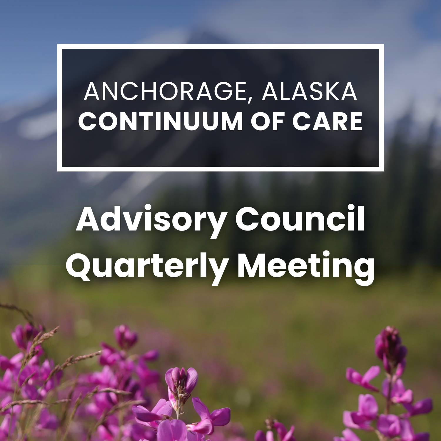 Quarterly Meeting: CoC HPRS Advisory Council