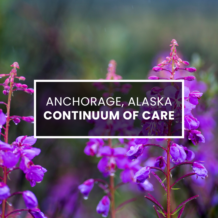 Technical Assistance: FY24FY25 Anchorage Youth Homelessness Demonstration Program (hybrid)