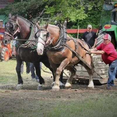 Stanley Fair 2026