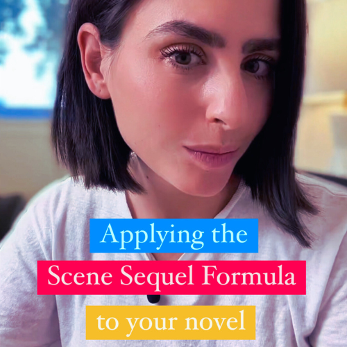 Save The Cat Beat Sheet Lauren Kay Author Guide