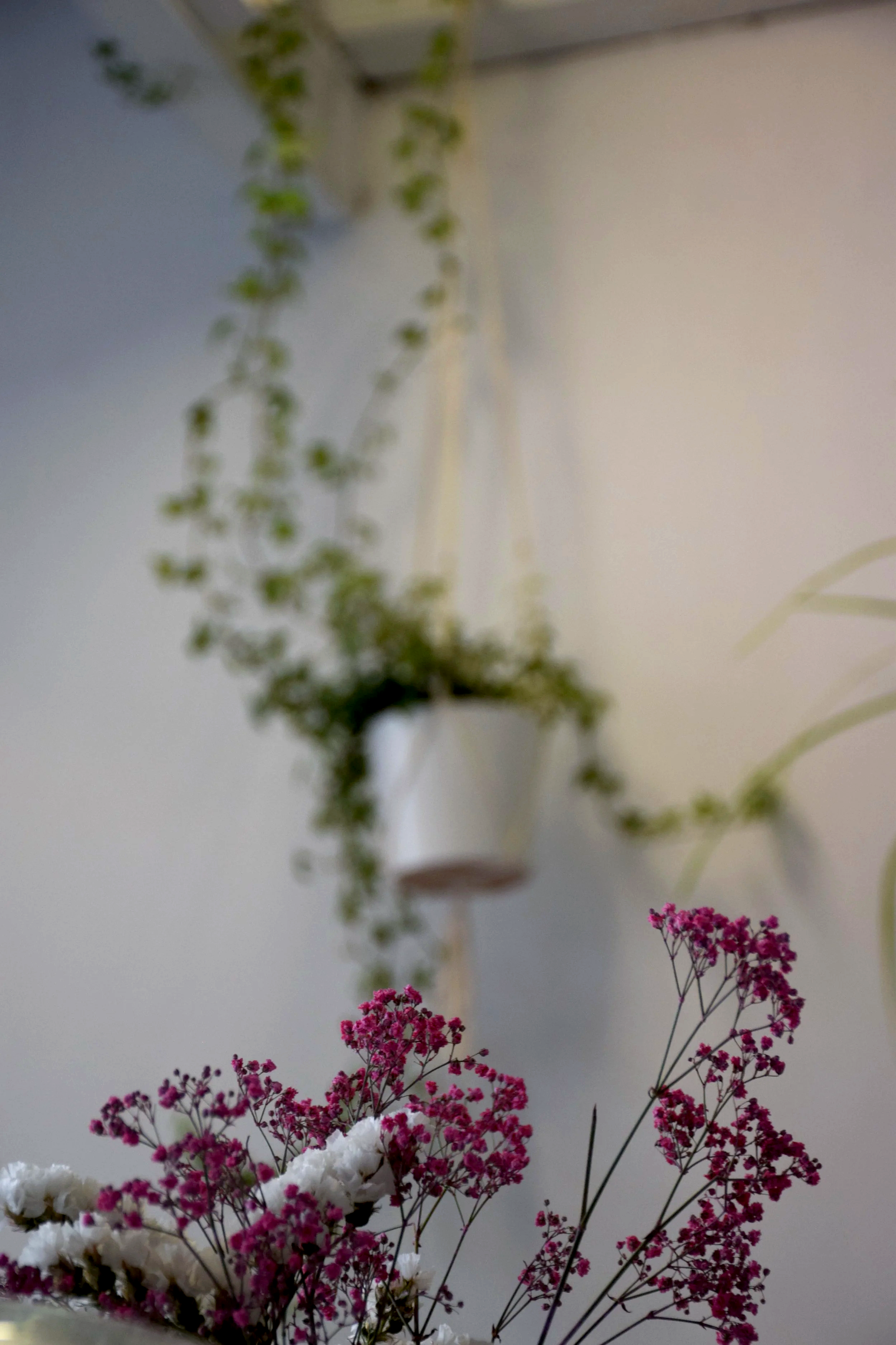 Was SOll Moni Kochen 1