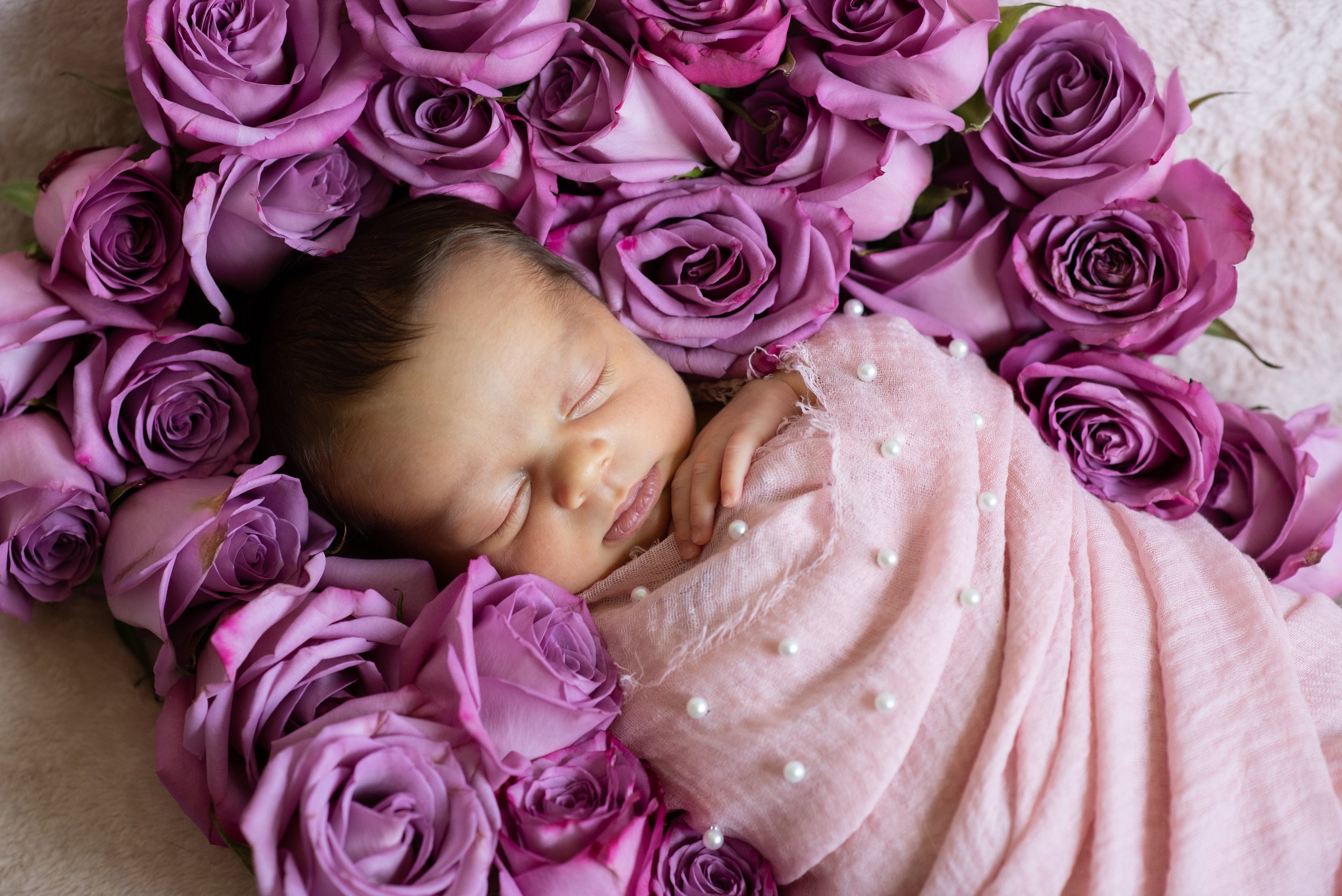 rose-37.jpg
