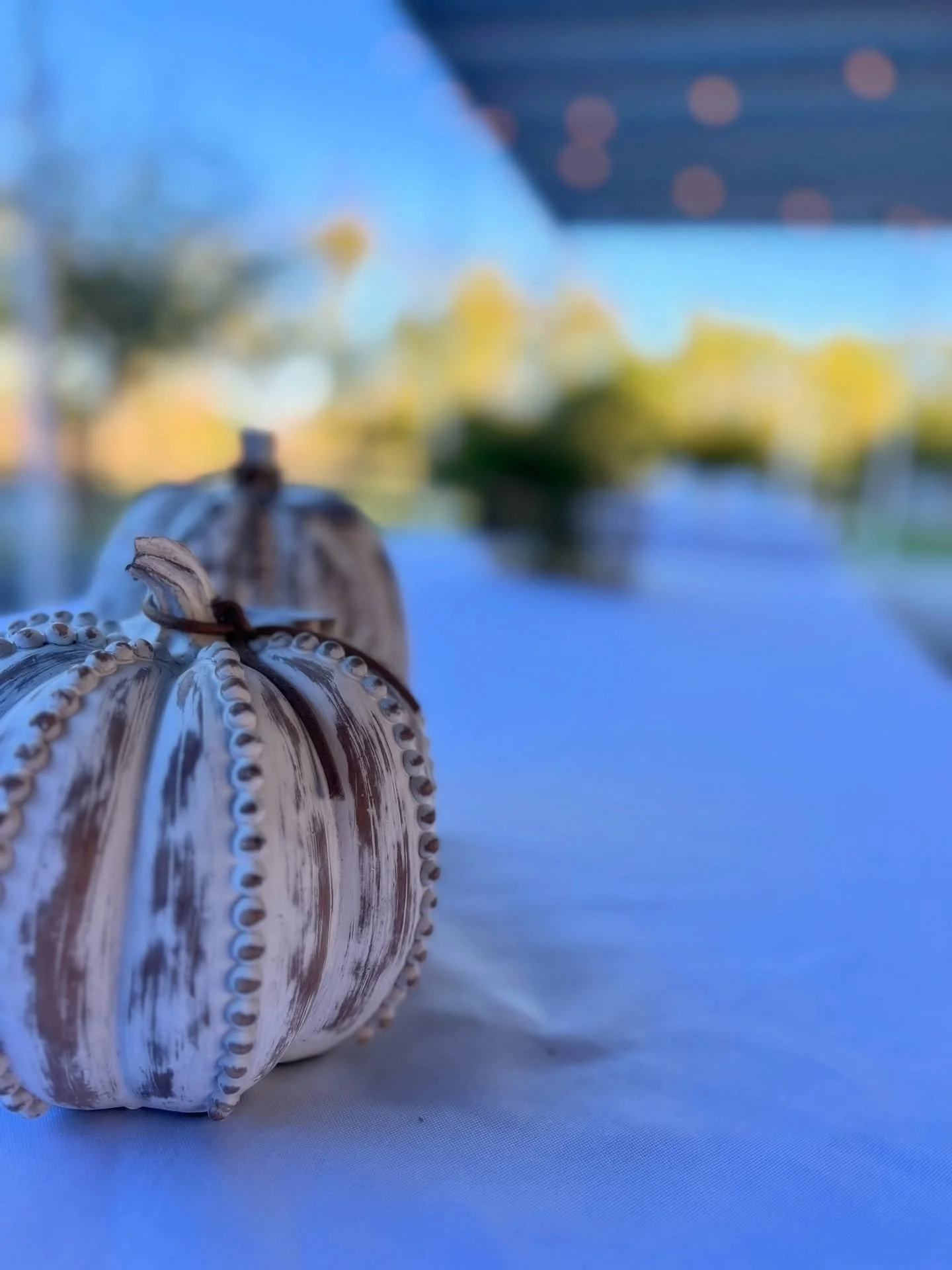 Wait&hellip; how is it August already? 🍃🎃🍂 This year is flying by faster ever before!!

One minute it&rsquo;s summer sunshine, the next thing you know we&rsquo;re talking fall colors and cozy vibes!!