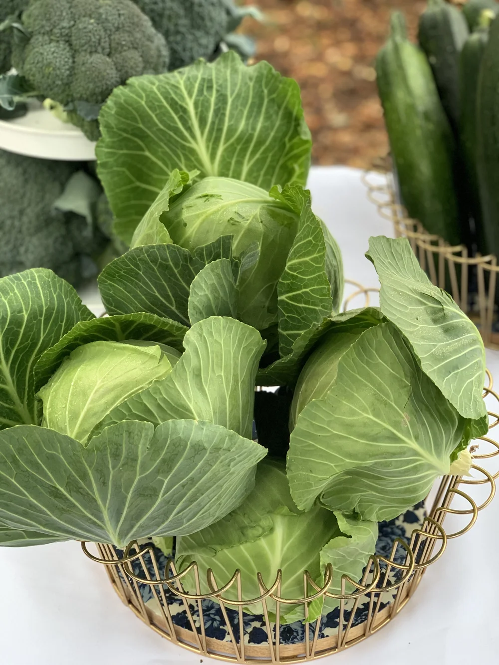Freshly harvested vegetables from Southern Star Farms