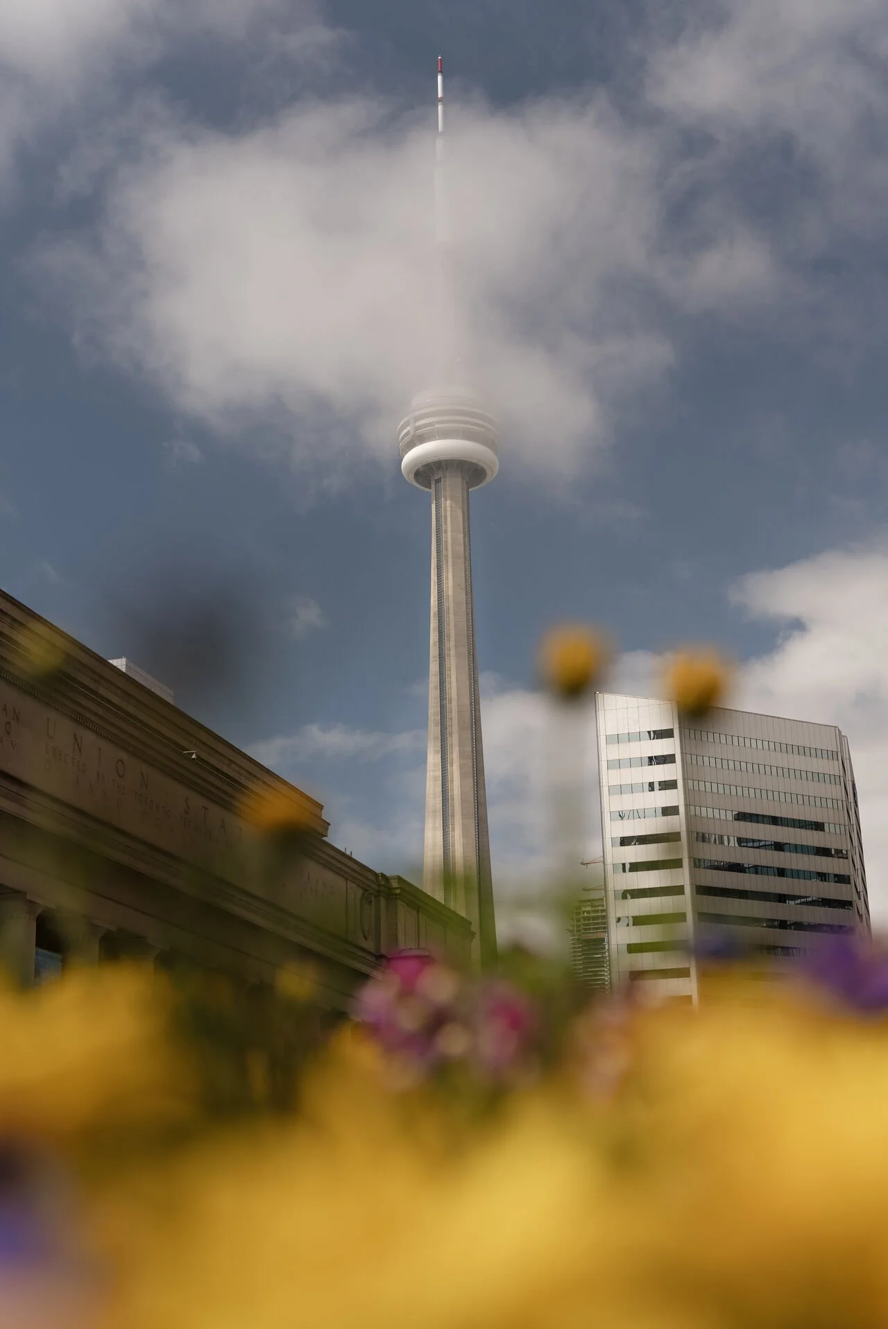 Earth Day: Building a More Sustainable Future