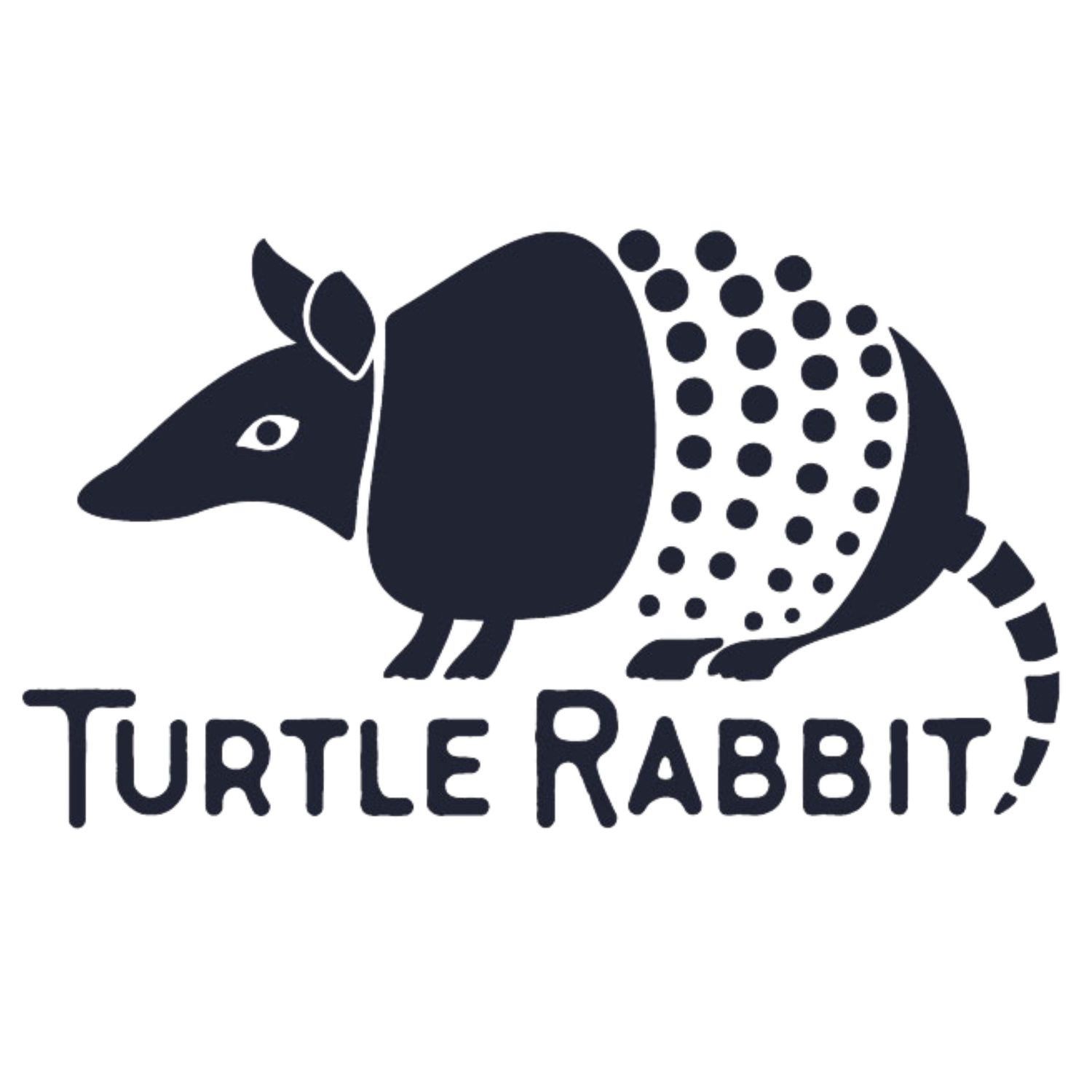 Turtle Rabbit