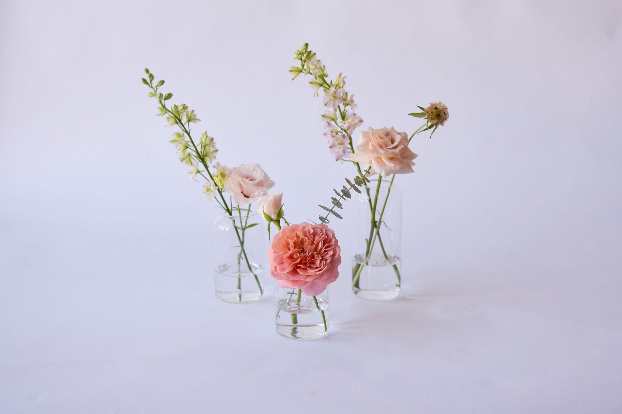 Bud Vase (Clear Glass Modern) $15