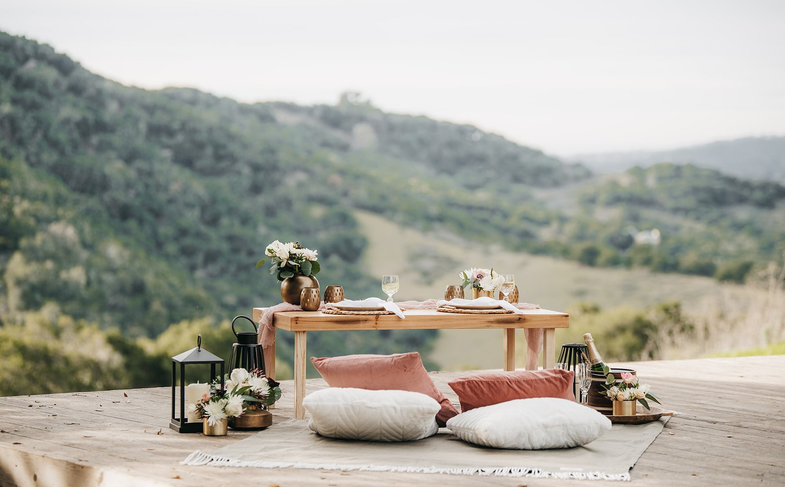 CVR Proposal Picnic.jpeg