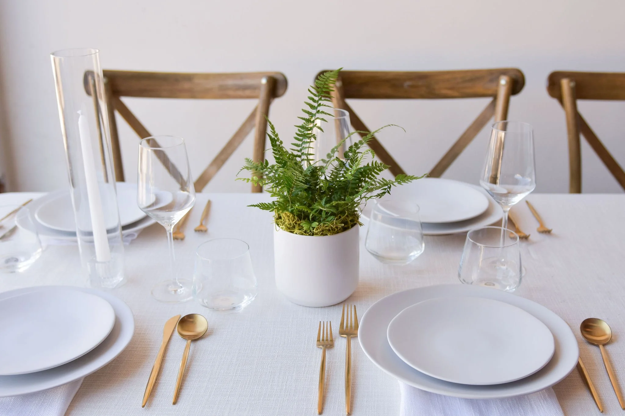.. White Ceramic Plant