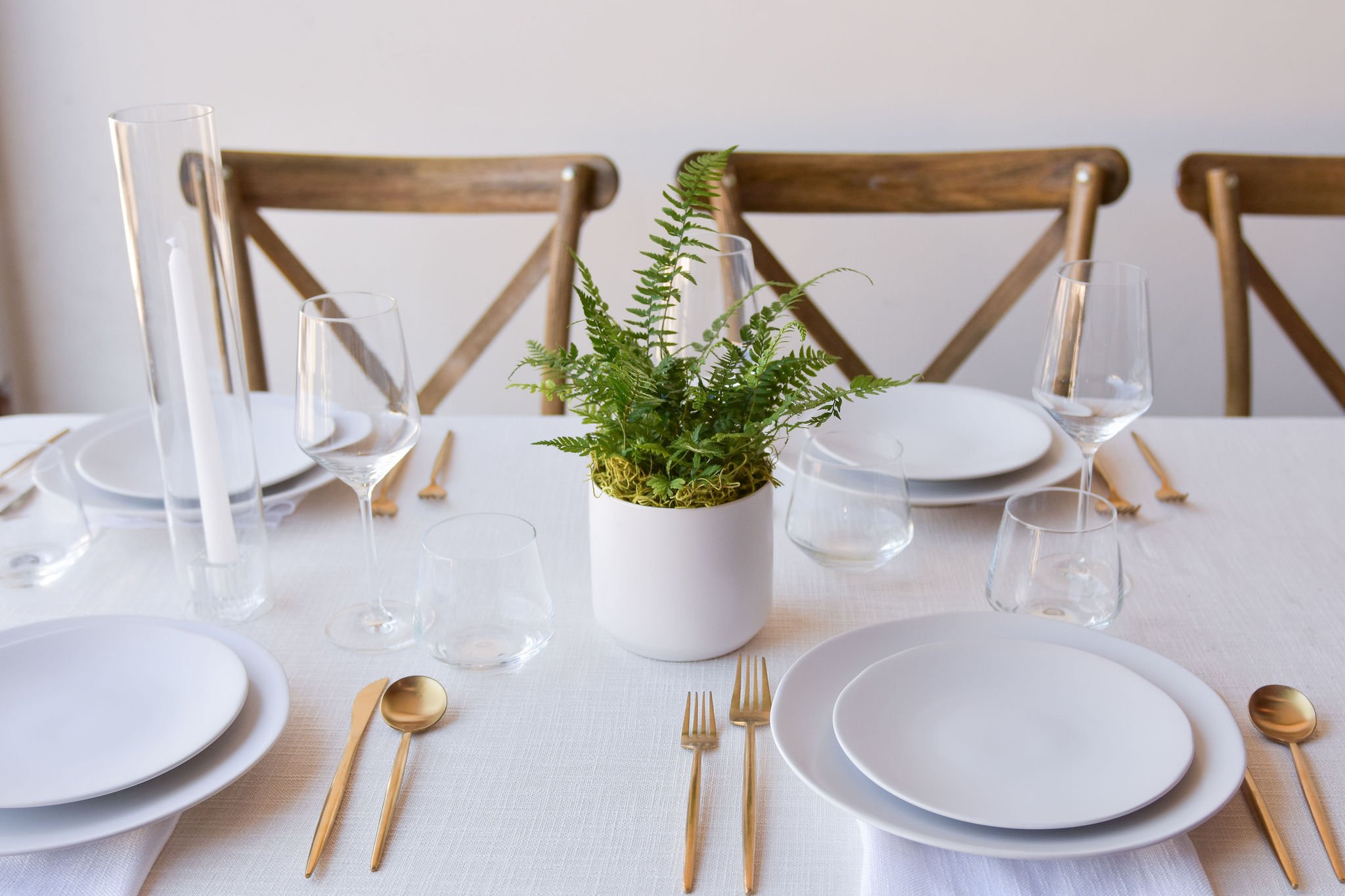 Round White Ceramic Plant $55