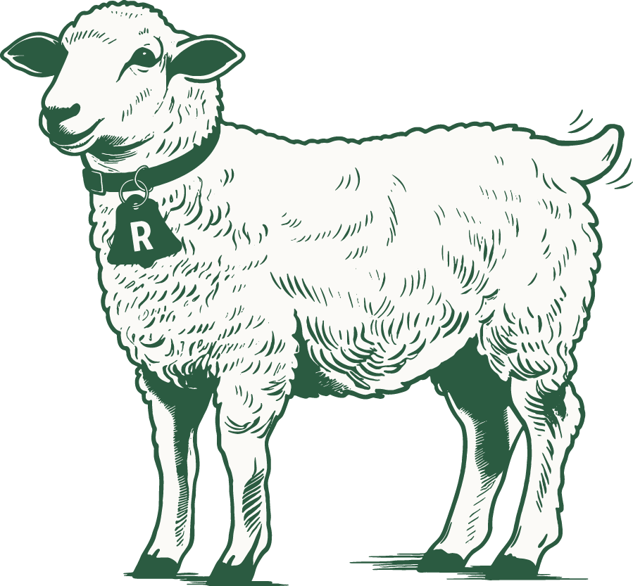 Land Acknowledgement — Camp Rover