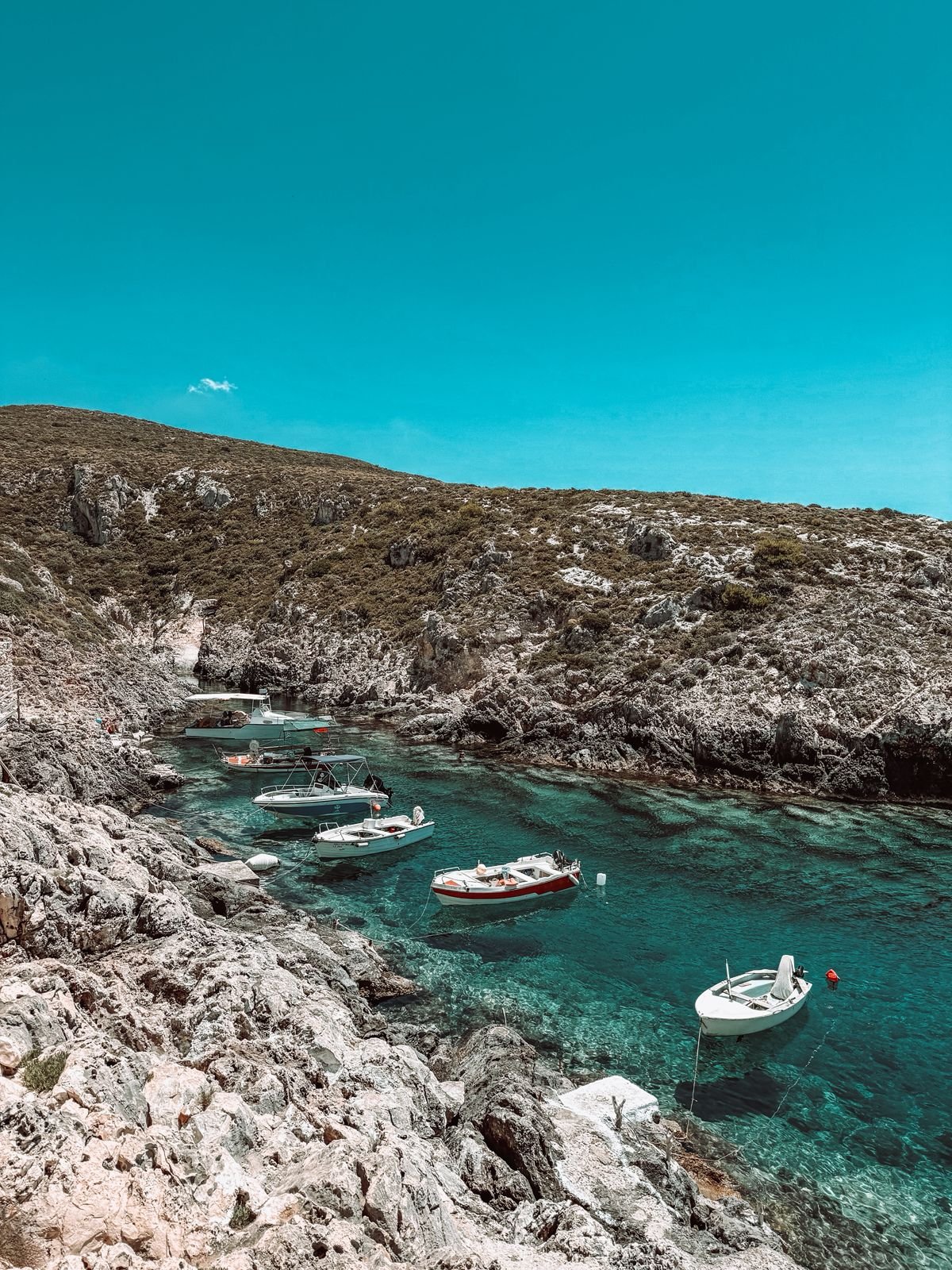 WhatsApp Image 2025-08-05 at 11.02.33.jpeg