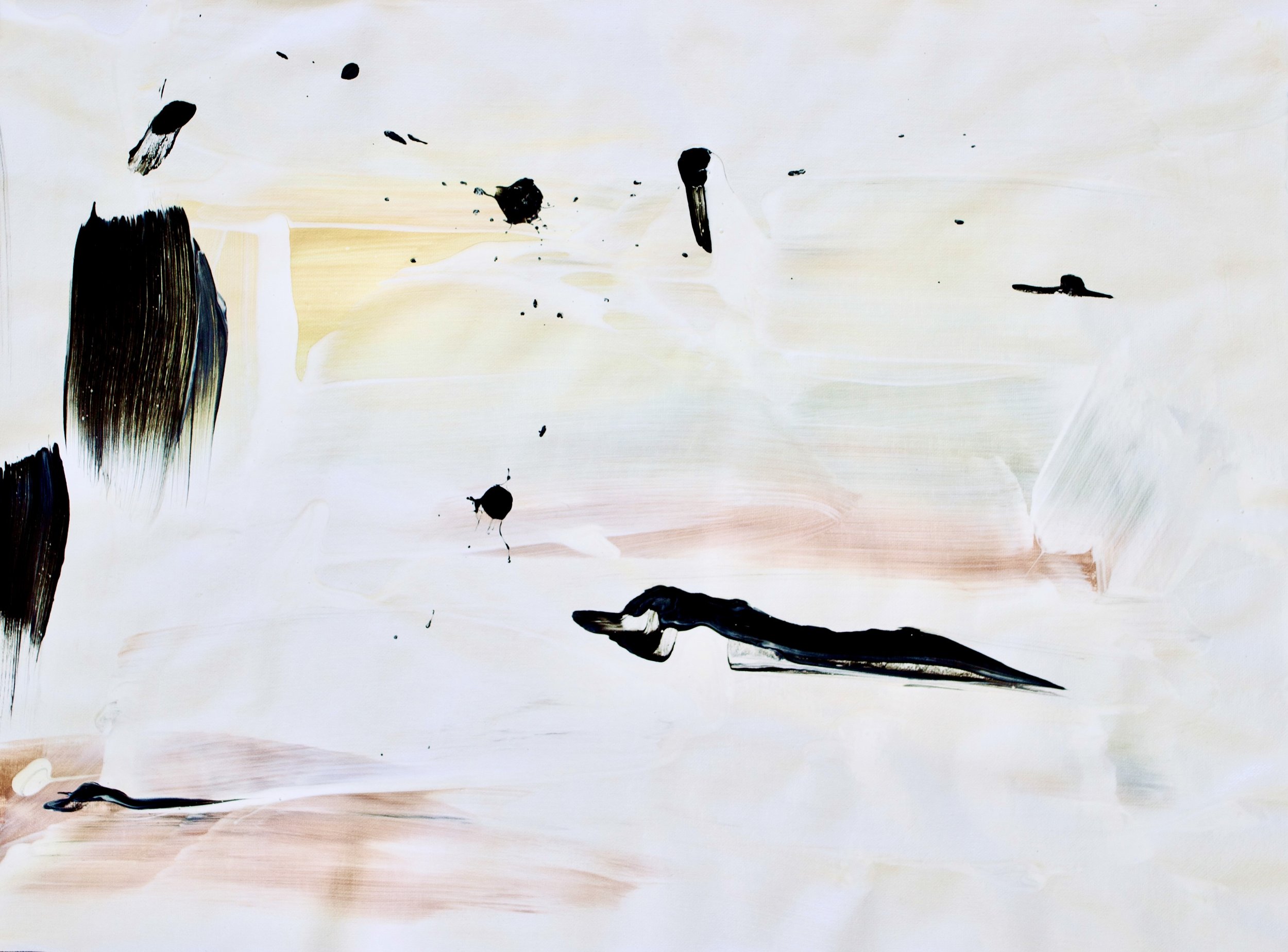 2CAD1C31-E88A-45B3-871A-3F825FC92901_1_201_a.jpeg
