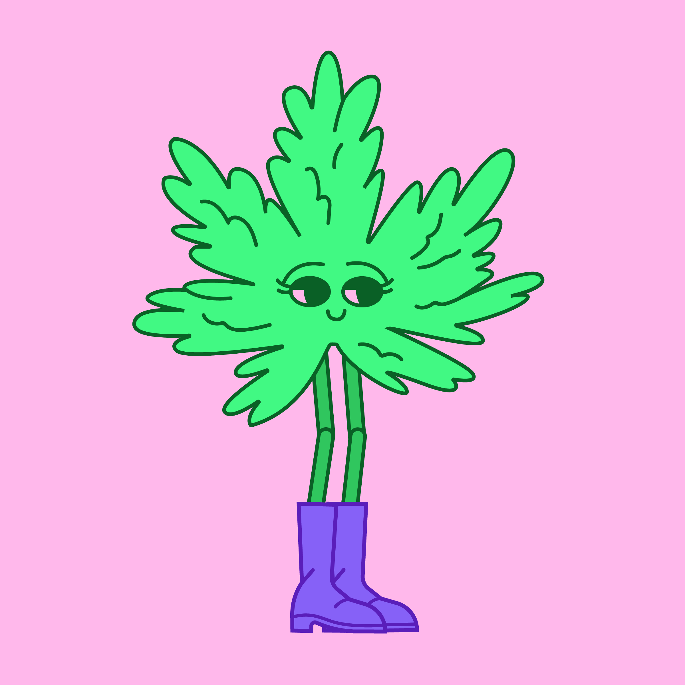 tangie_illo.png