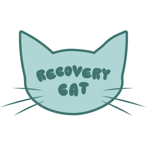 Recovery Cat Blog