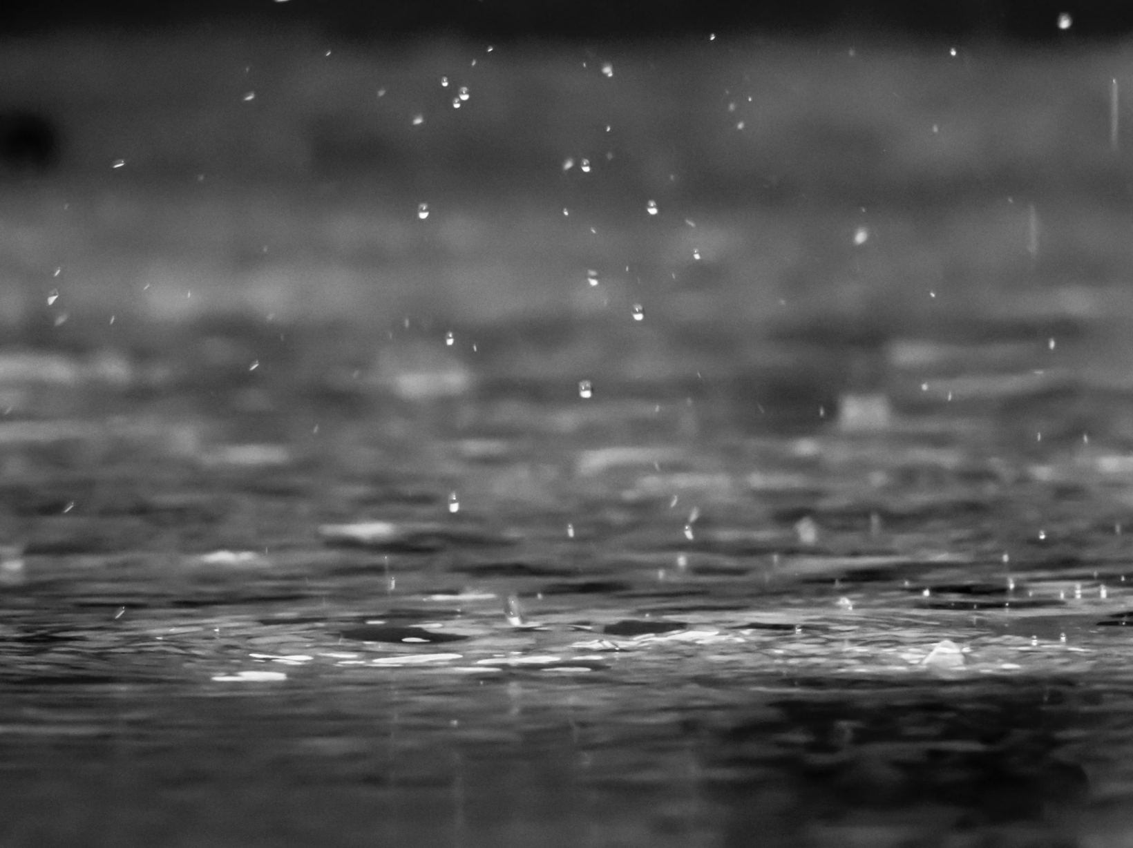 Winter Drainage Problems Homeowners Should Not Ignore in Sonoma County