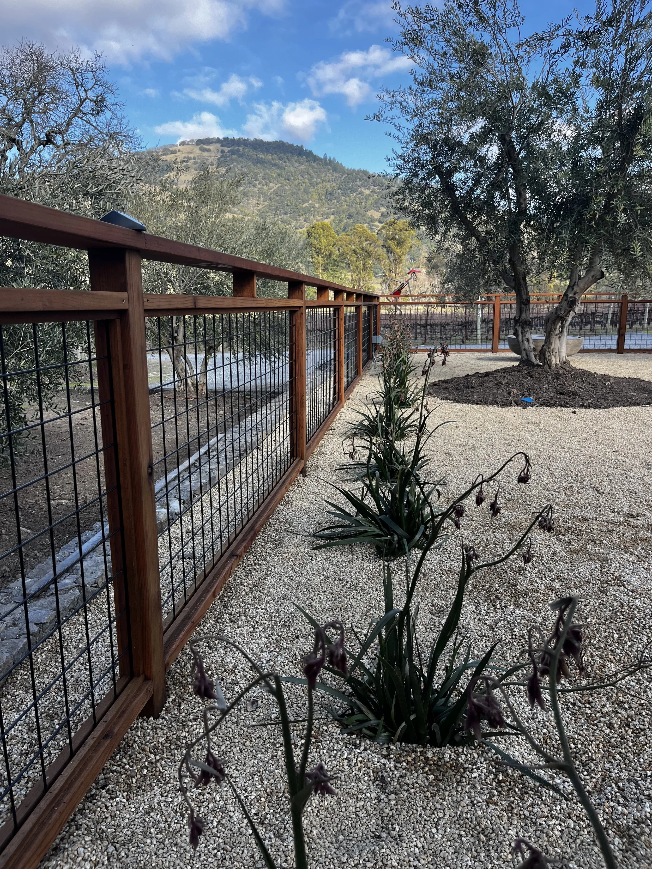 A landscape with a gravel path, plants, a wooden and wire fence on the left side, a large tree on the right, and hills with trees in the background under a partly cloudy sky.