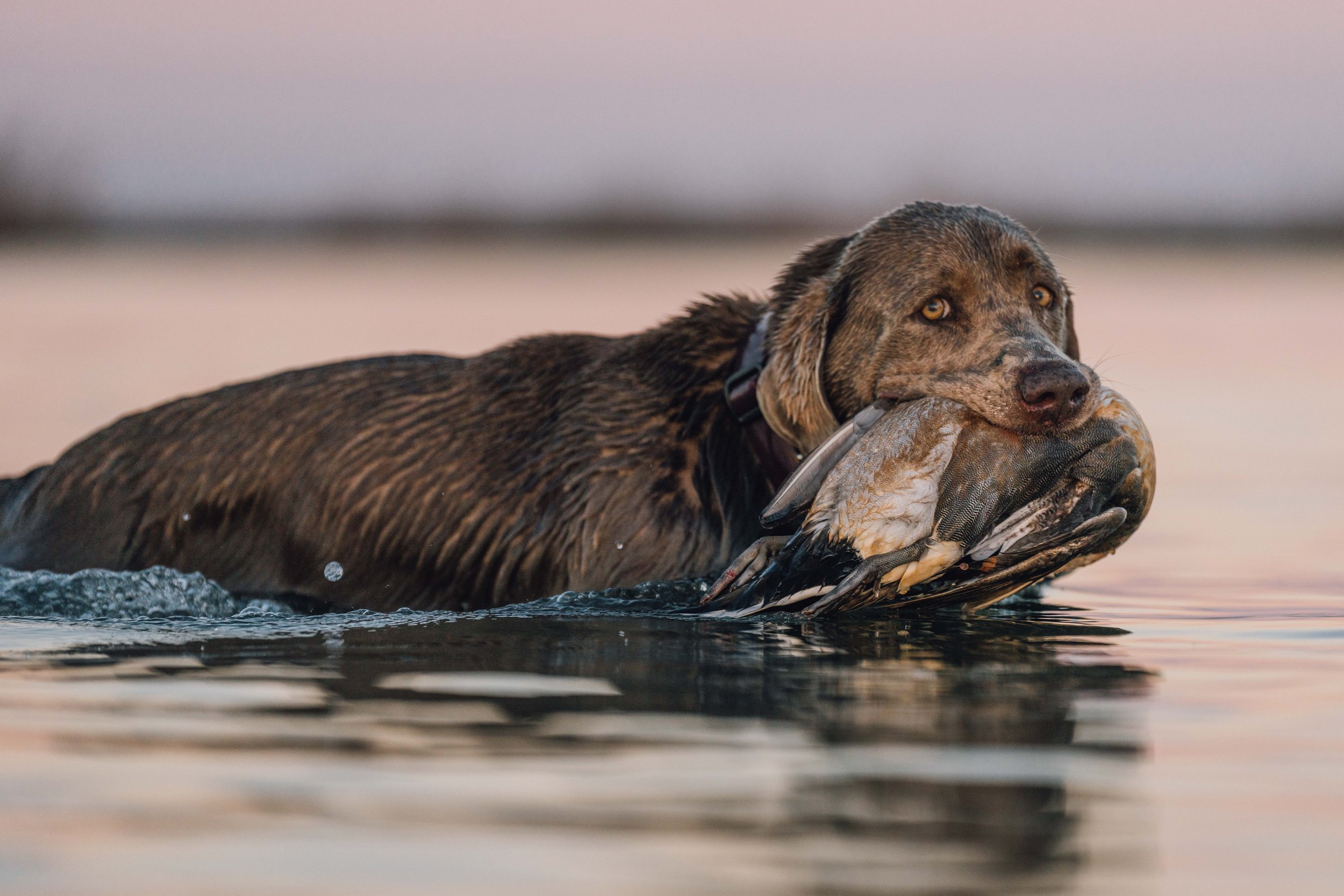 202301_Cast and Blast_WebRes-38.jpg