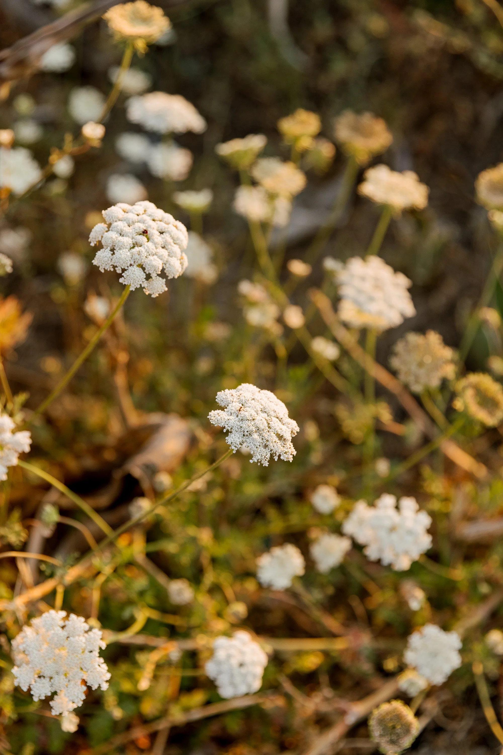 ArtistOfPossibilityRetreat_NinaMenconiPhoto_445A2001.jpg
