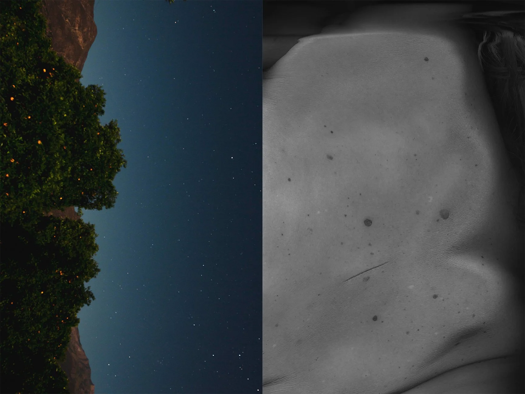 origins-diptych-4-no border copy.jpg