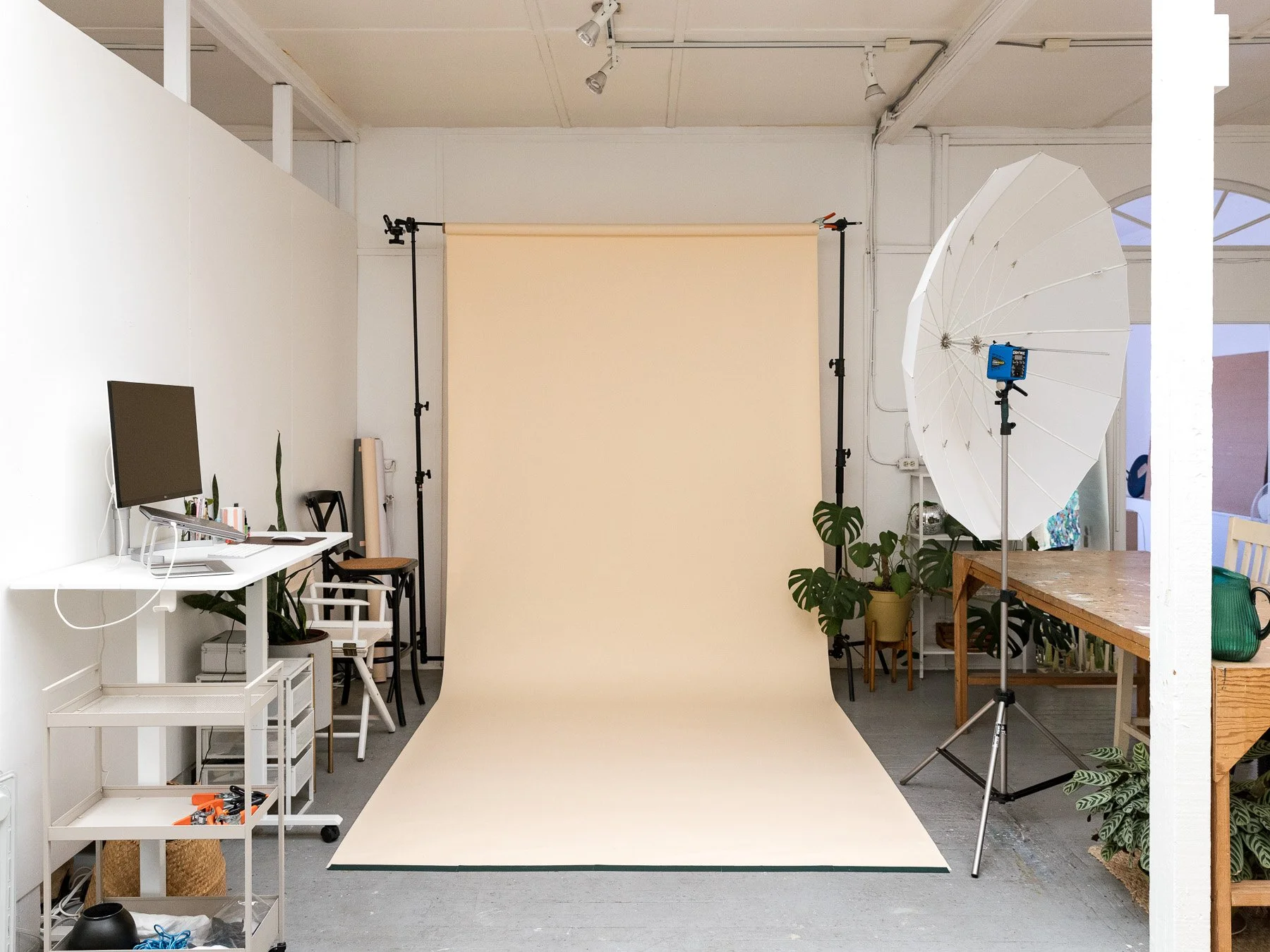 Berkeley SF Bay Area Headshots & Portrait Photography