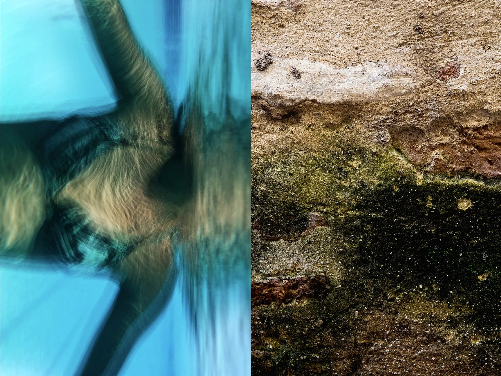 origins-diptych-7 copy.jpg