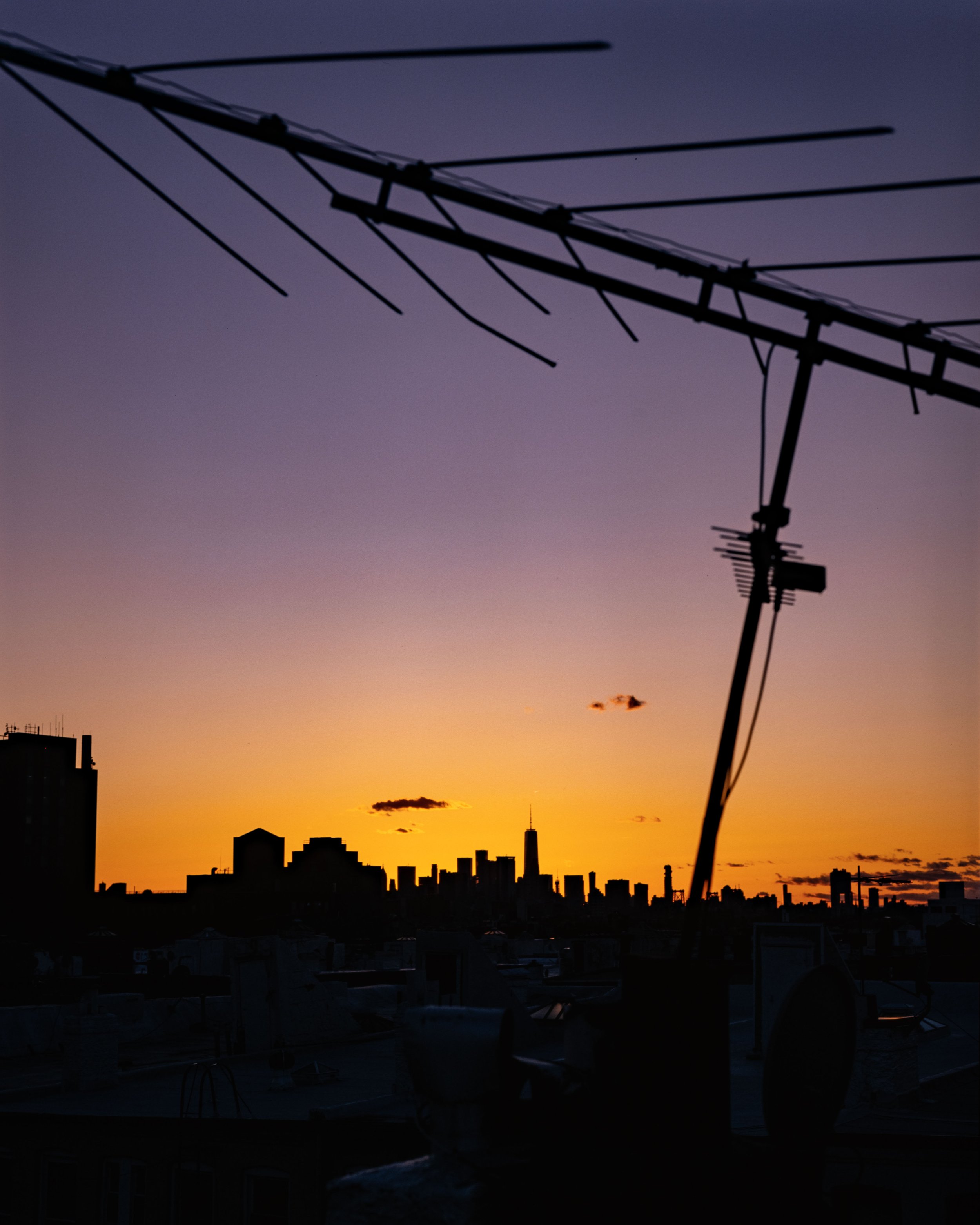 Pentax67_20210315-8.jpg
