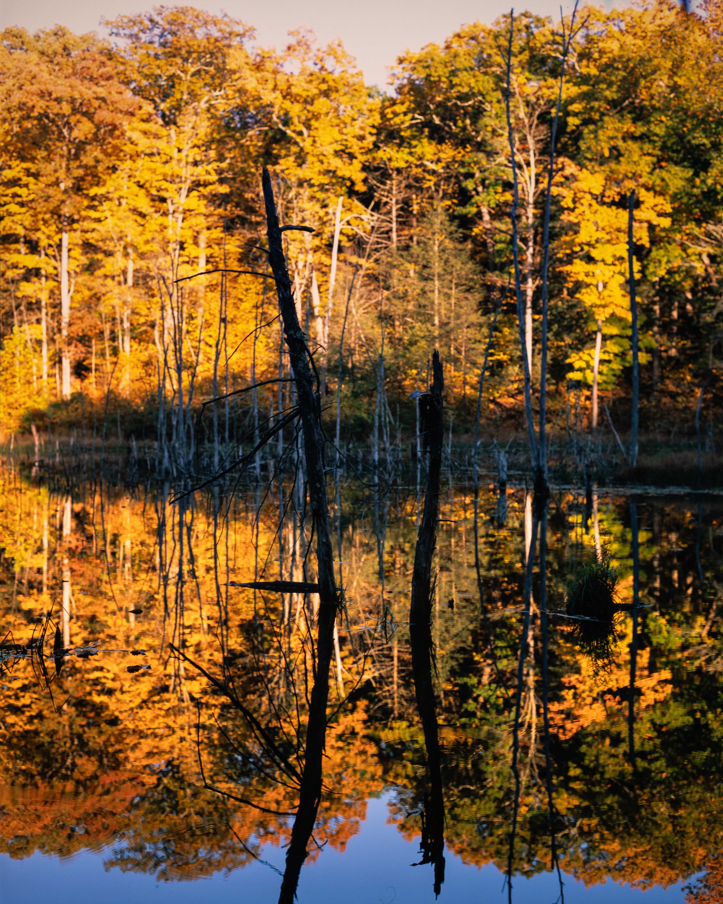 Pentax67_20221022A-9.jpg