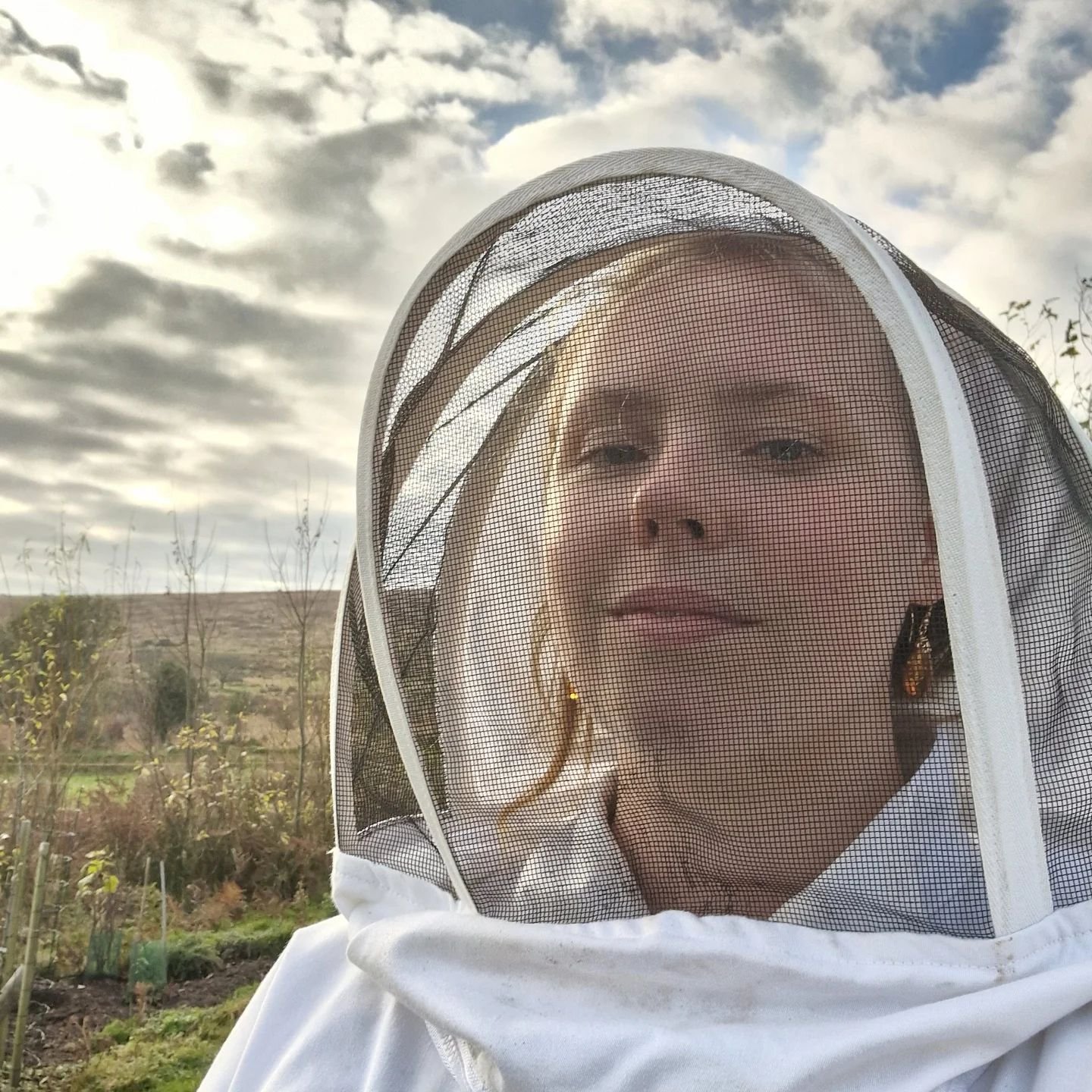 Last of my hives properly insulated and fed for winter today 🔥✨️ looking around at the apiary we have created, the agroforestry orchard, the happy little chickens: today I could really appreciate how much we have learnt and created in the years on t