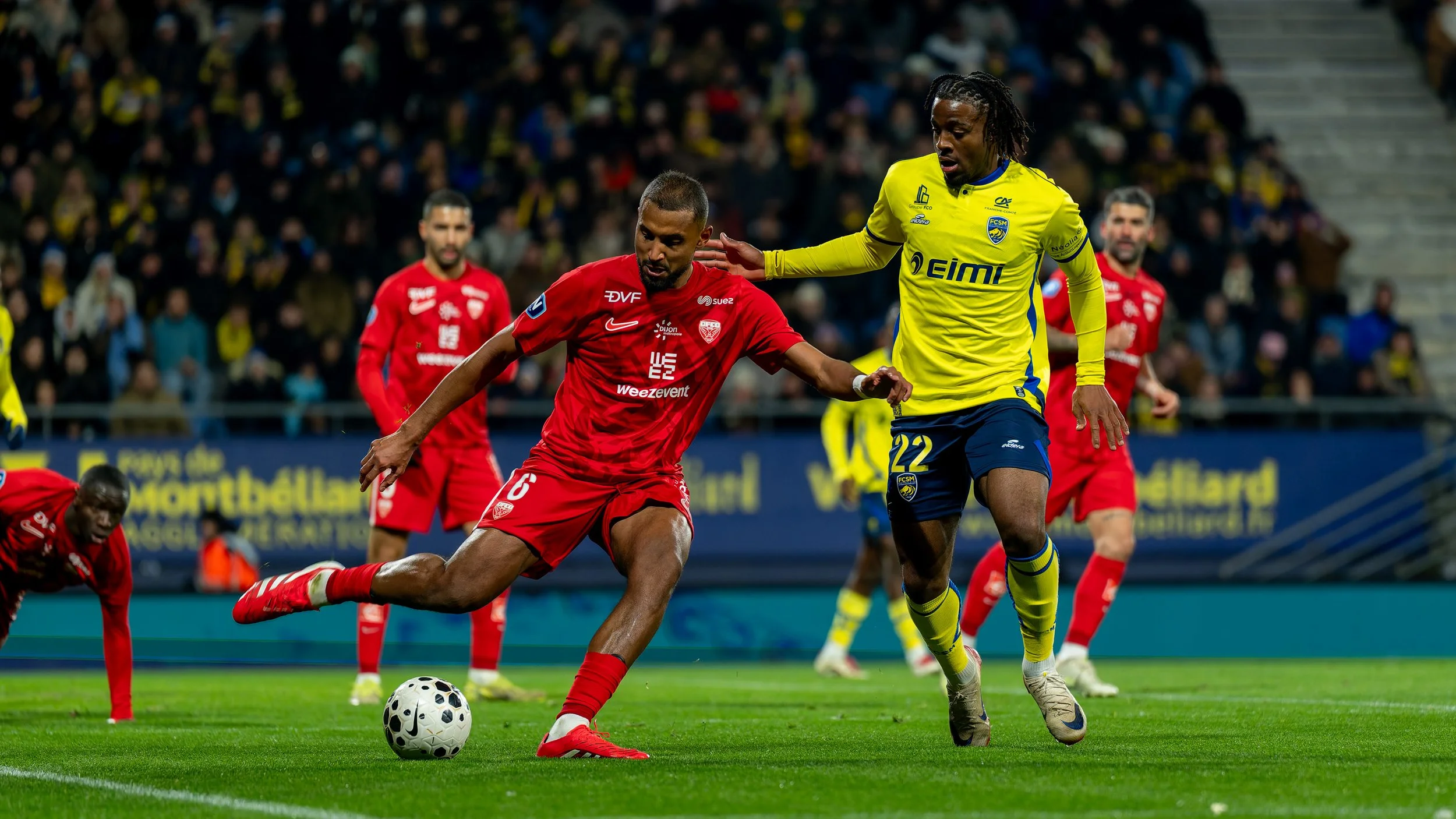 _DSC5447-DxO_DeepPRIME XD2s-18.jpg