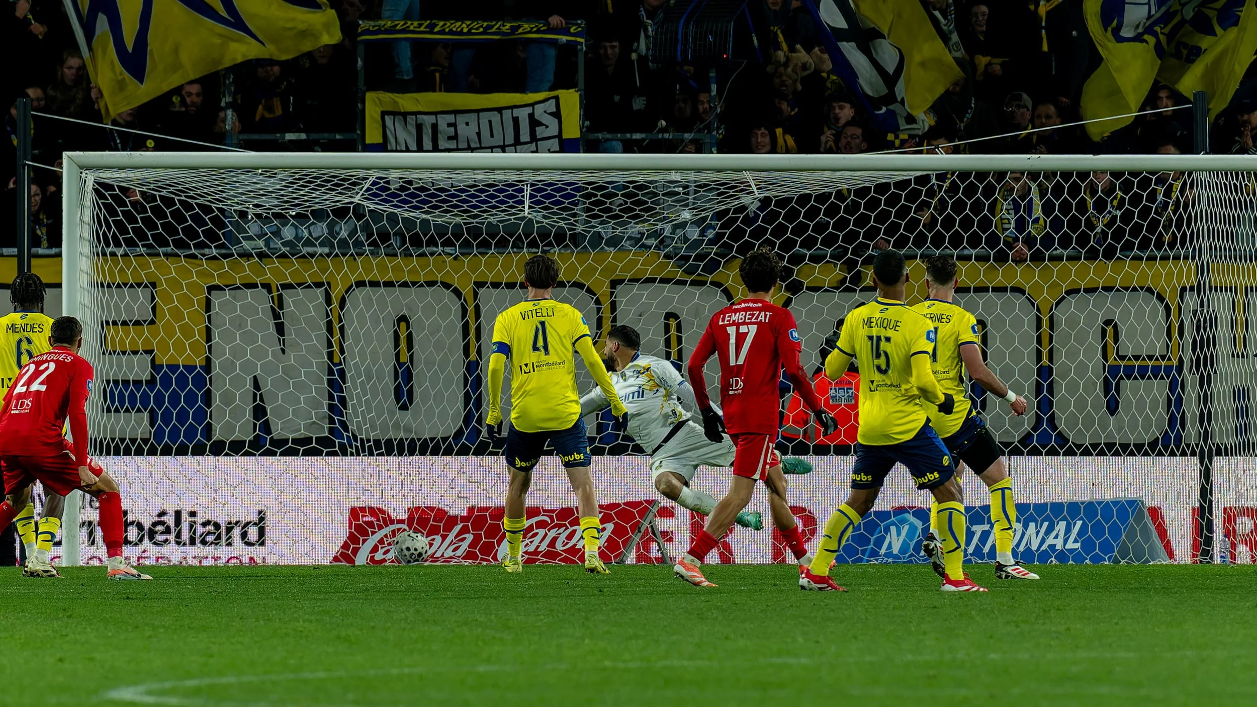 _DSC7413-DxO_DeepPRIME XD2s-37.jpg